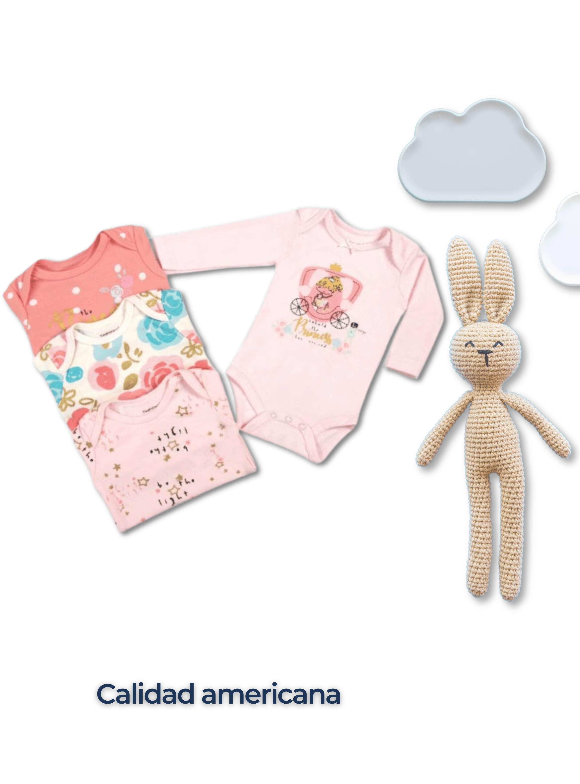 Pack 4 Bodys Bebé Niña Manga Larga Tedmimak 100% Algodón Pink Roses-5