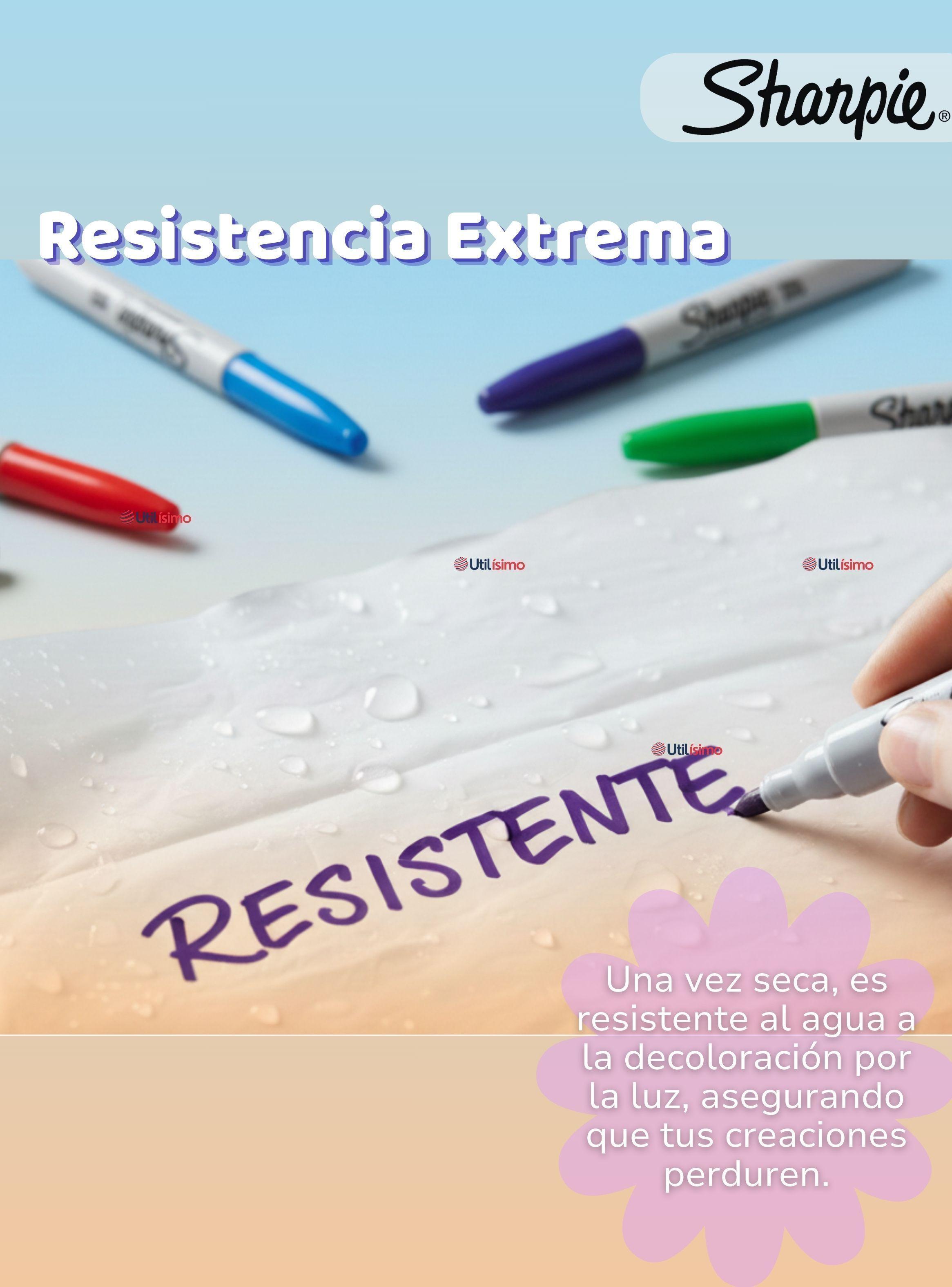 Set 24 Plumones Sharpie Punta Fina Marcadores en Colores Surtidos-5