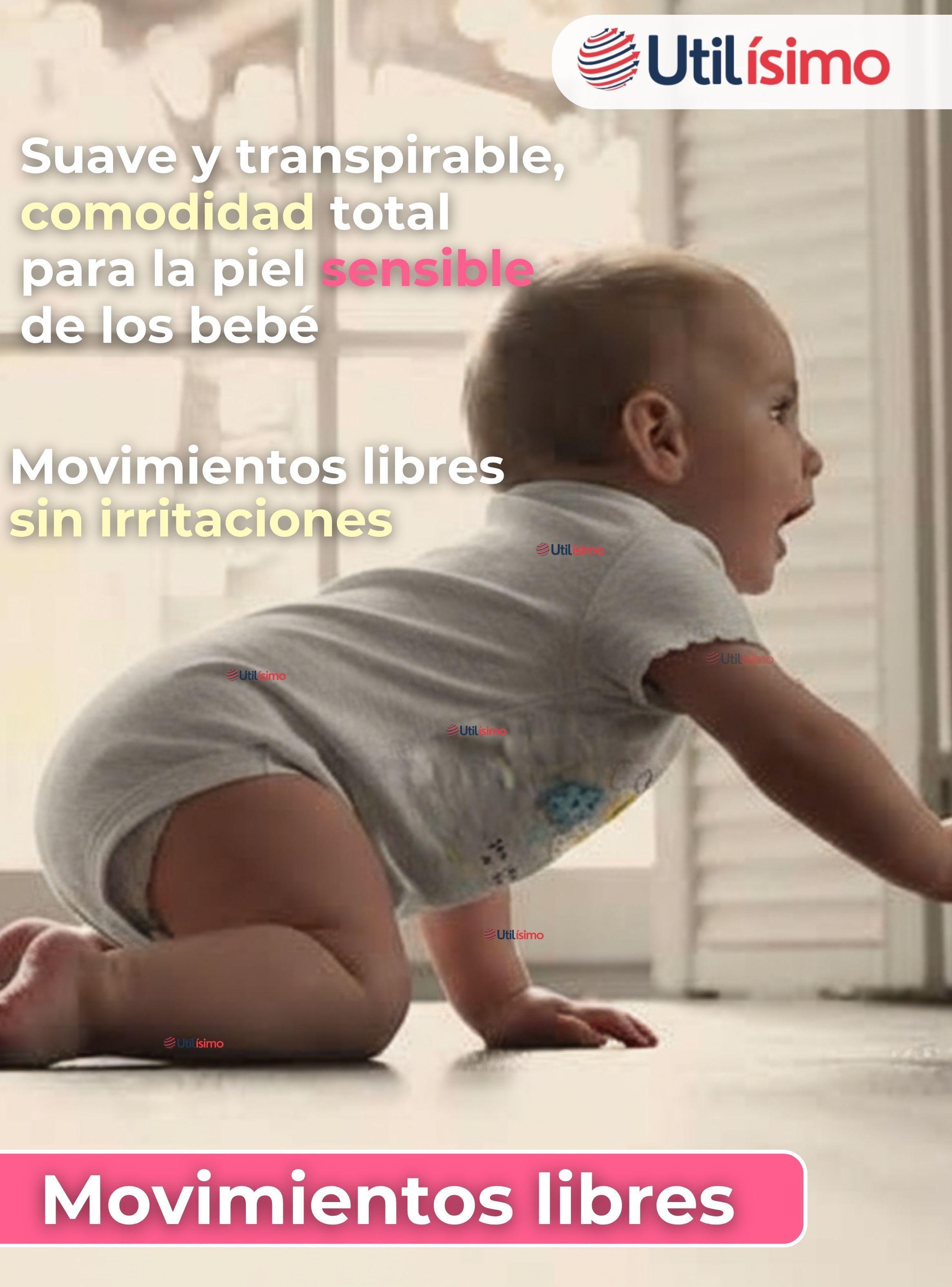 Pack 4 Bodys Niña Manga Corta Tedmimak 100% Algodón Little bee-5