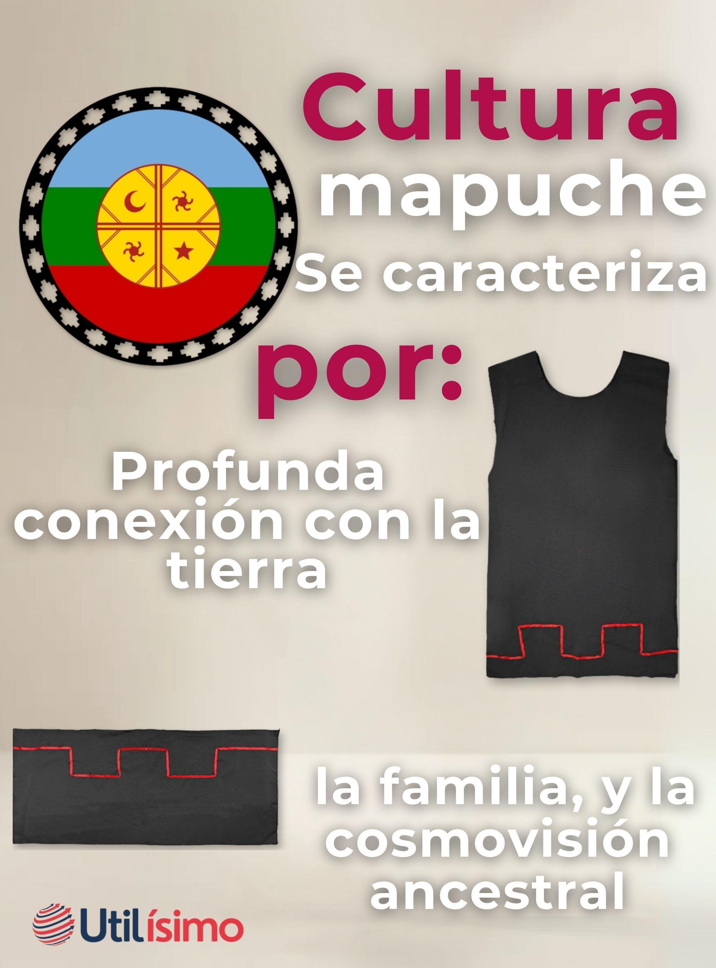 Traje Vestido Mapuche Niña Incluye Trapelacucha Vestimenta Típica-4