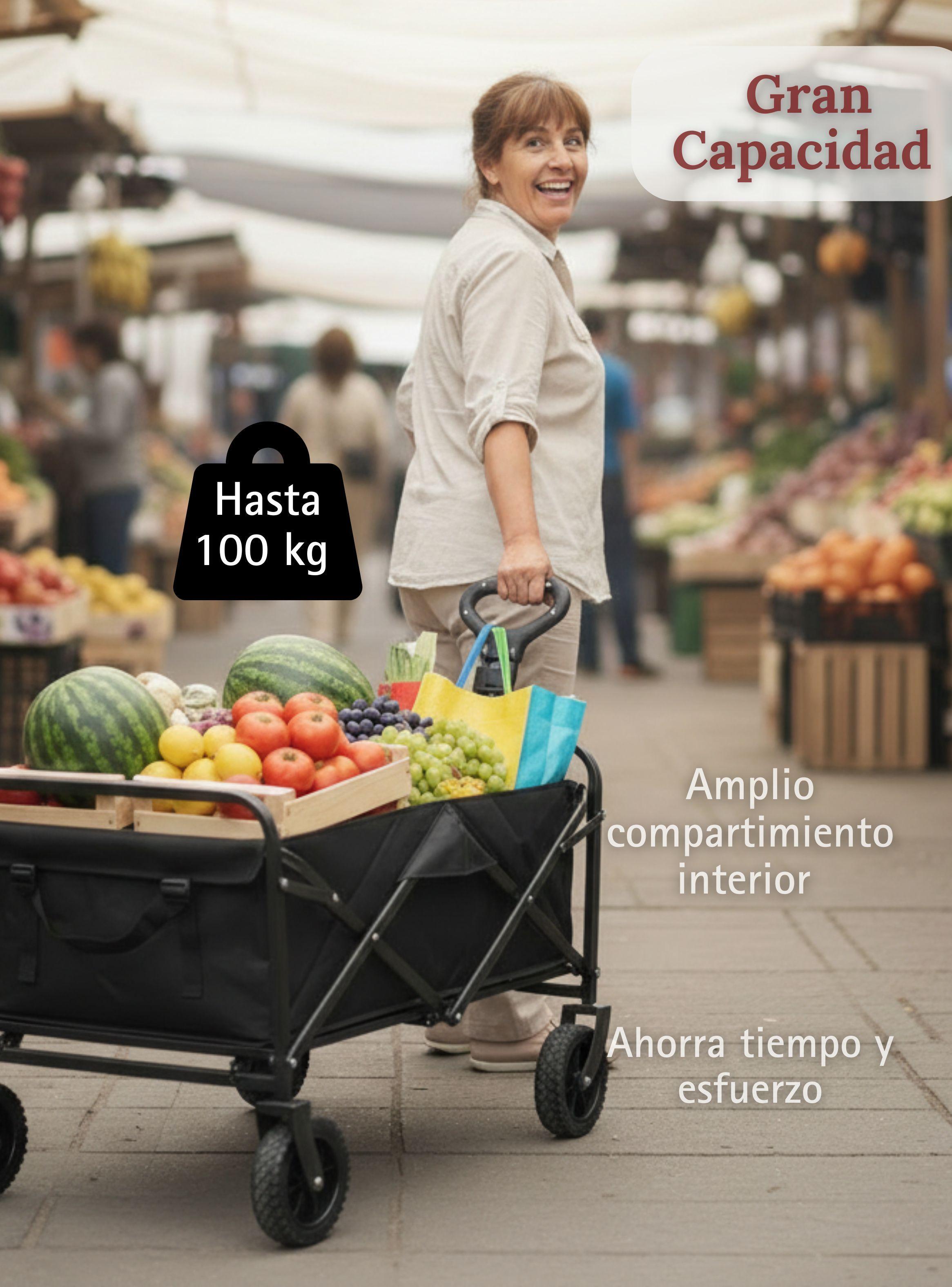 Carrito Compras Plegable Organizador Ideal Para El Camping 100Kg-4