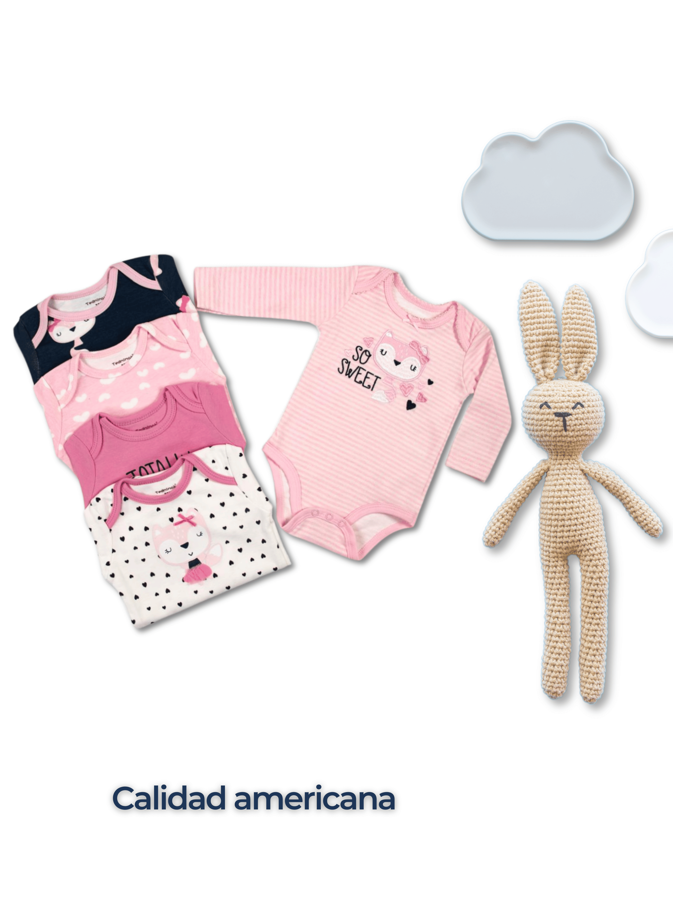 Pack 5 Bodys Bebé Niña Manga Larga Tedmimak 100% Algodón Sweet Rose-5