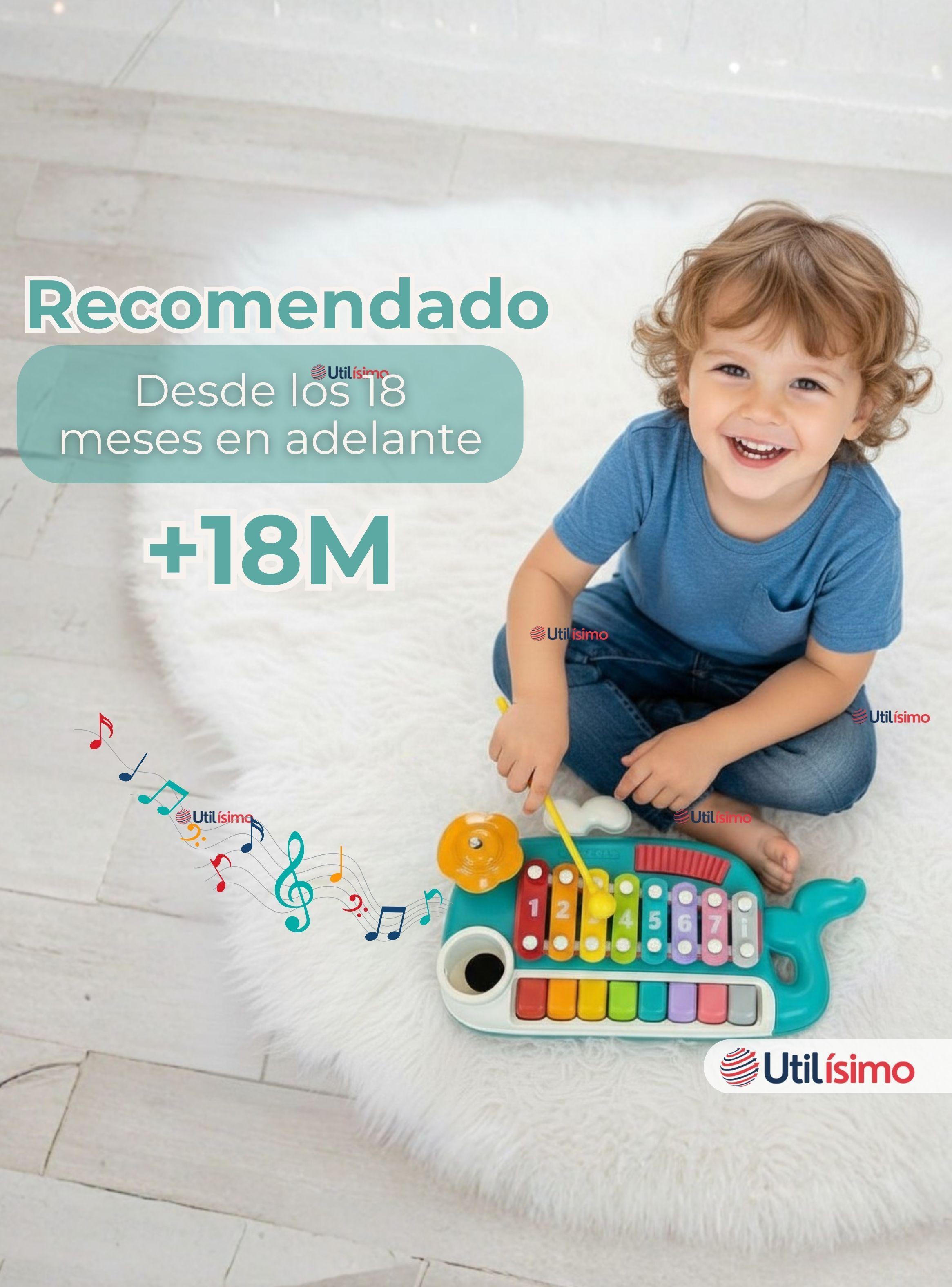 Juguete Xilófono Piano 5 en 1 para Bebé Niña Niño Interactivo Notas Multicolor-7