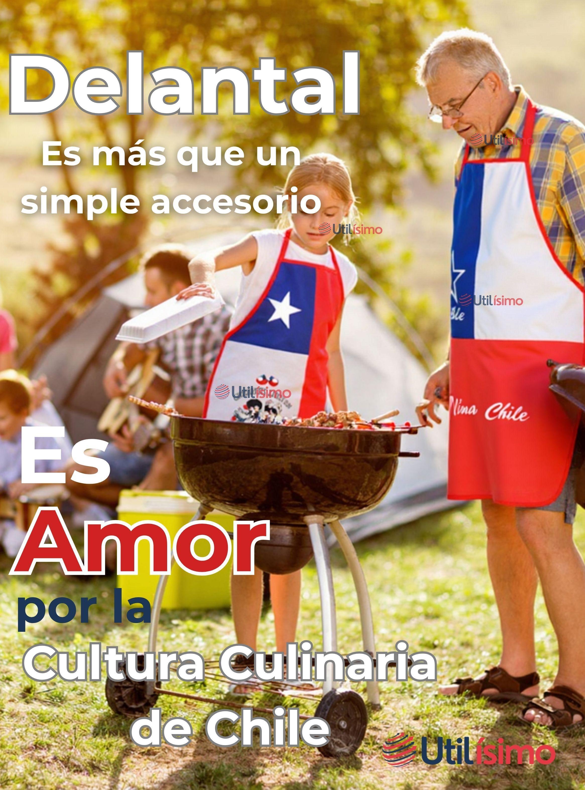 Delantal Cocina Chile Fiestas Patrias Bandera Chilena 60X90 CM Surtidos-3