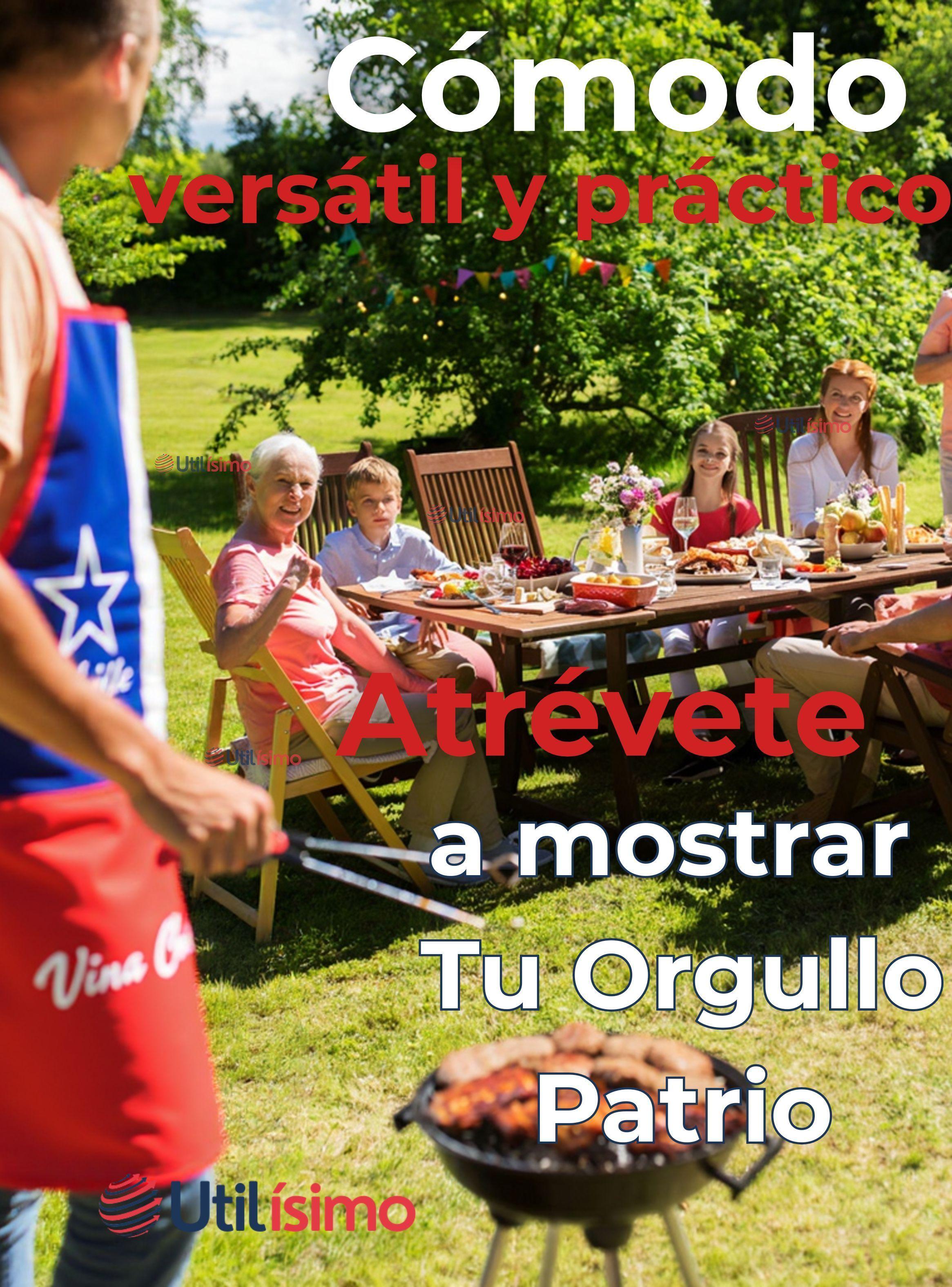 Delantal Cocina Chile Fiestas Patrias Bandera Chilena 60X90 CM Surtidos-5