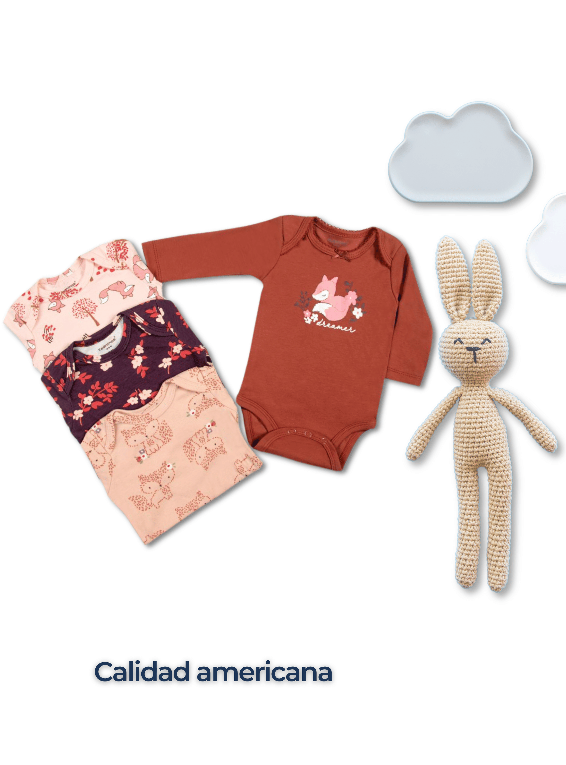 Pack 4 Bodys Niña Manga Larga Tedmimak 100% Algodón Delicate Floral-5