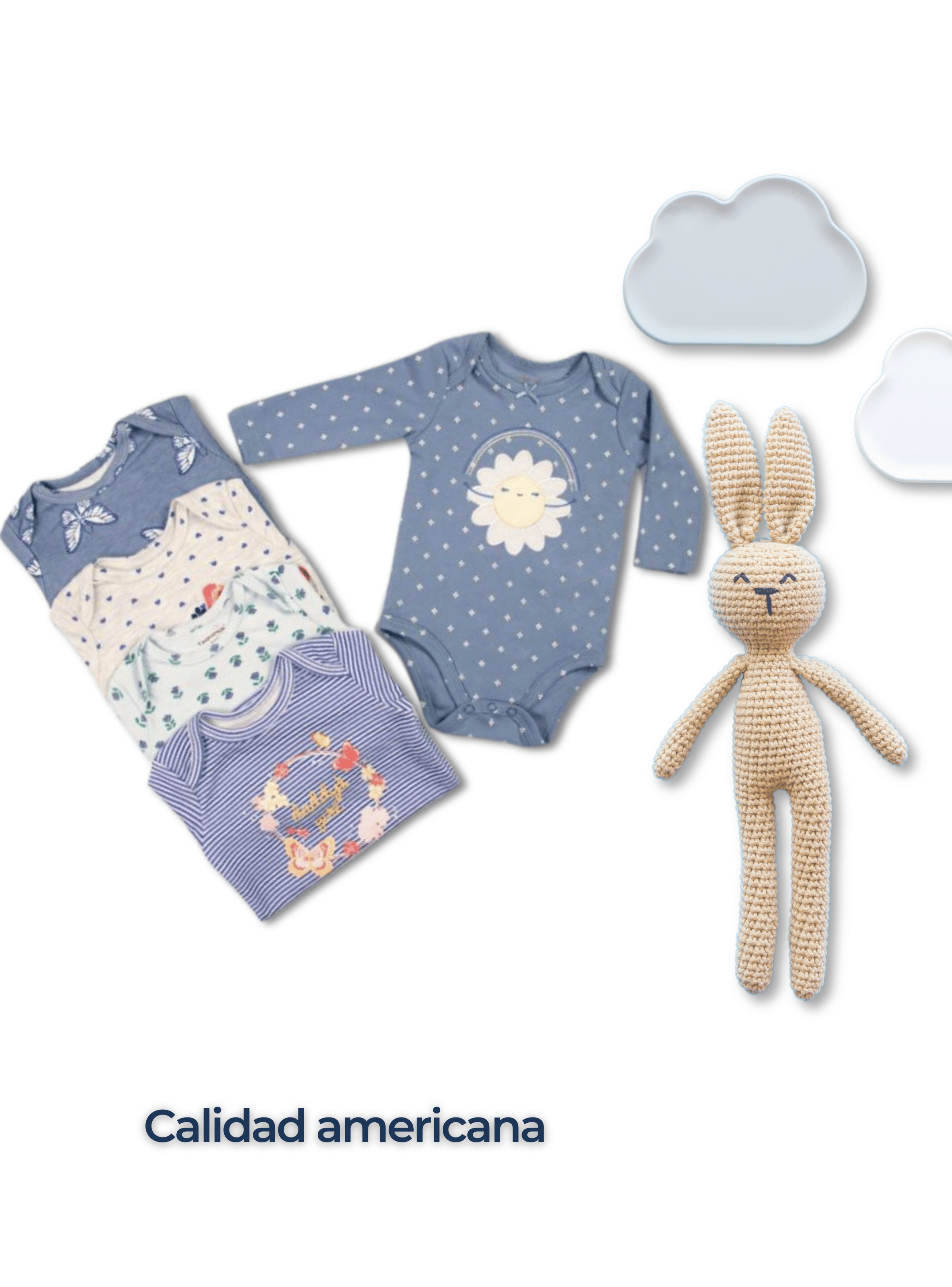 Pack 5 Bodys Bebé Niña Manga Larga Tedmimak 100% Algodón Sky Blue Floral-5