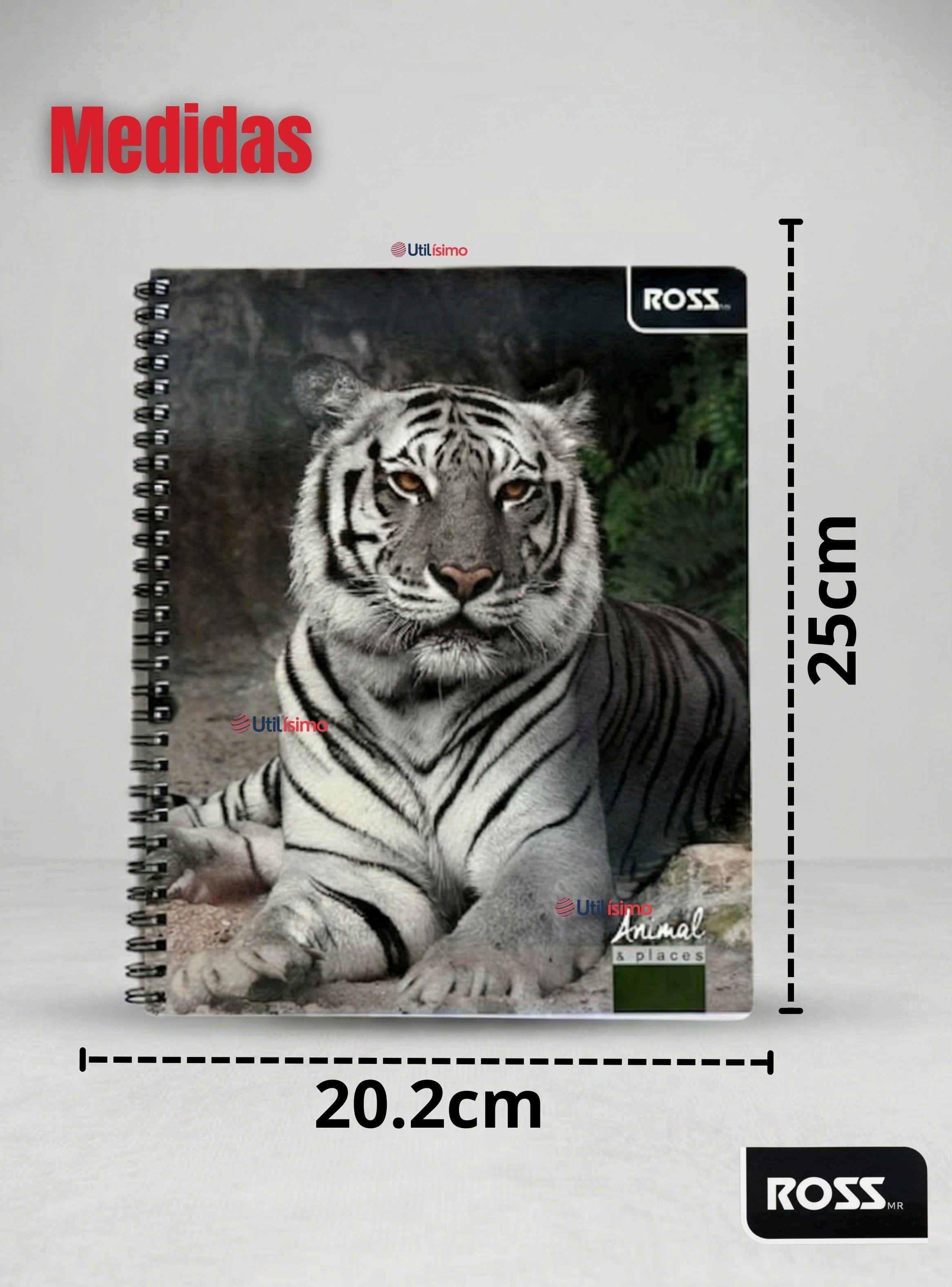Pack 5 Cuadernos Universitario Animal & Places Ross 7mm 100 hojas Diseño Surtido-3