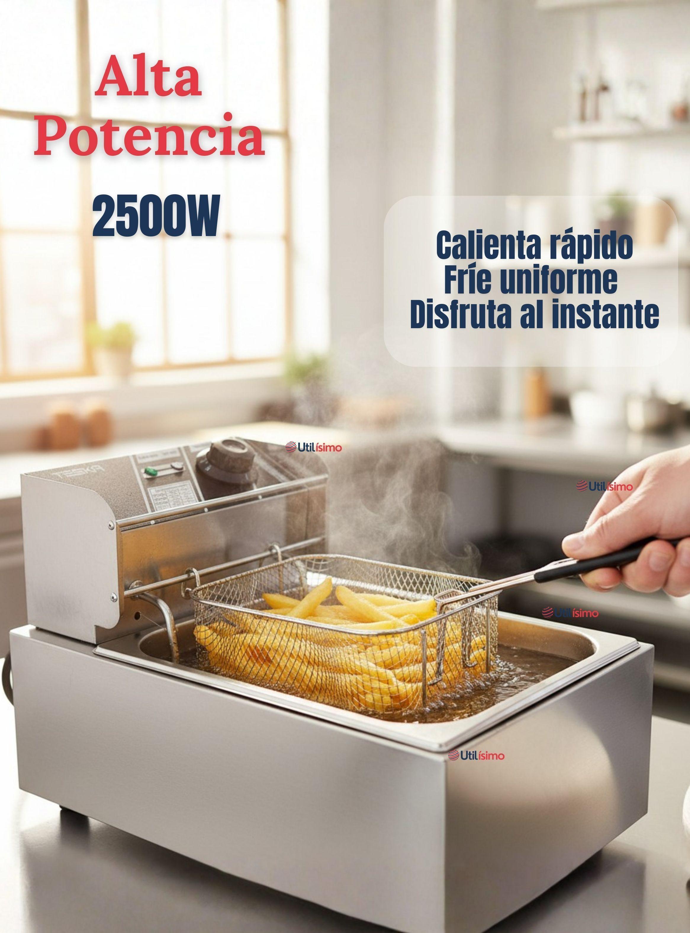 Freidora Eléctrica en Aceite Eléctrica 5 Litros 2000W de Potencia Acero Inoxidable-2