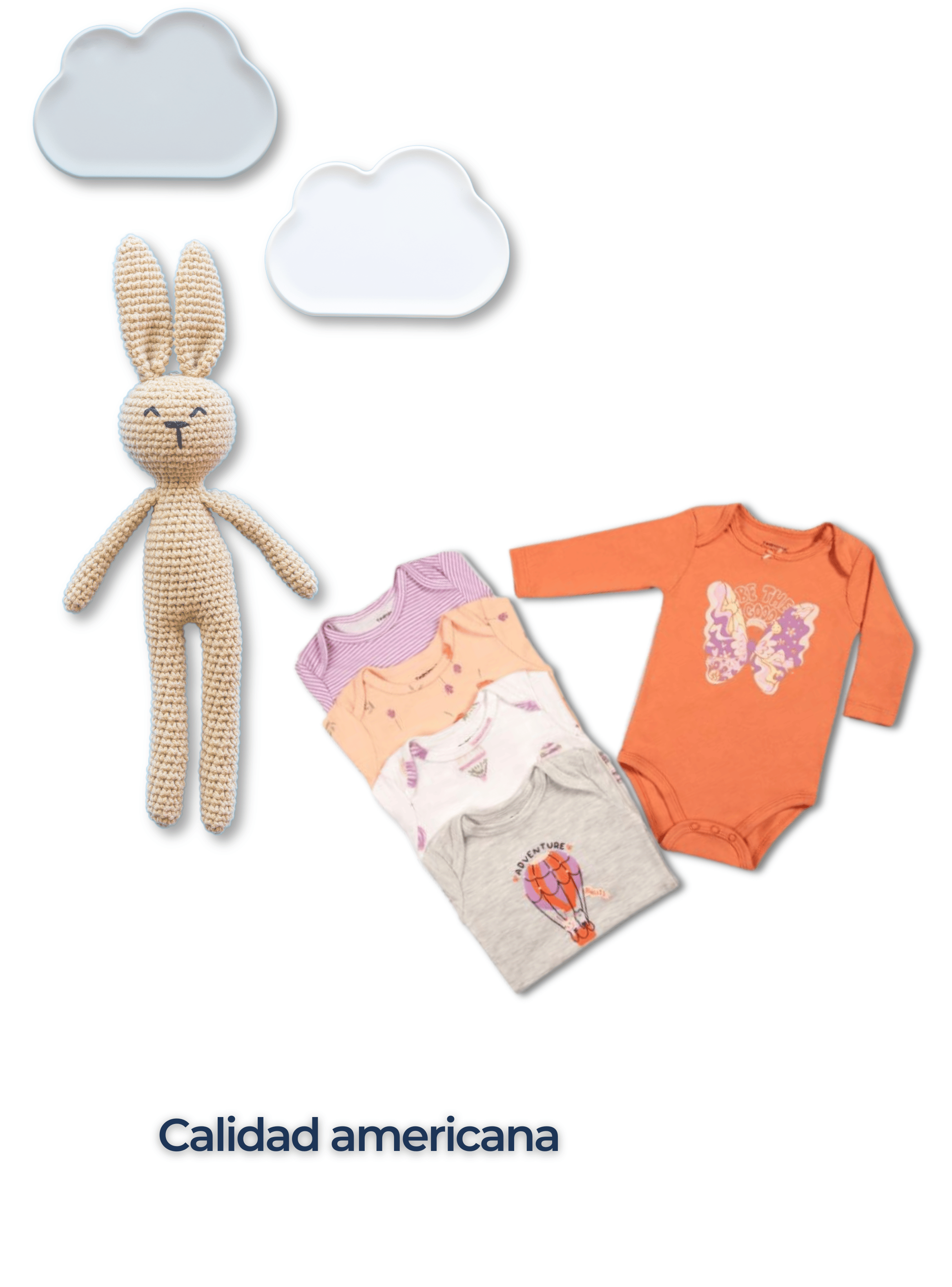 Pack 5 Bodys Bebé Niña Manga Larga Tedmimak 100% Algodón Cute Butterflies-5