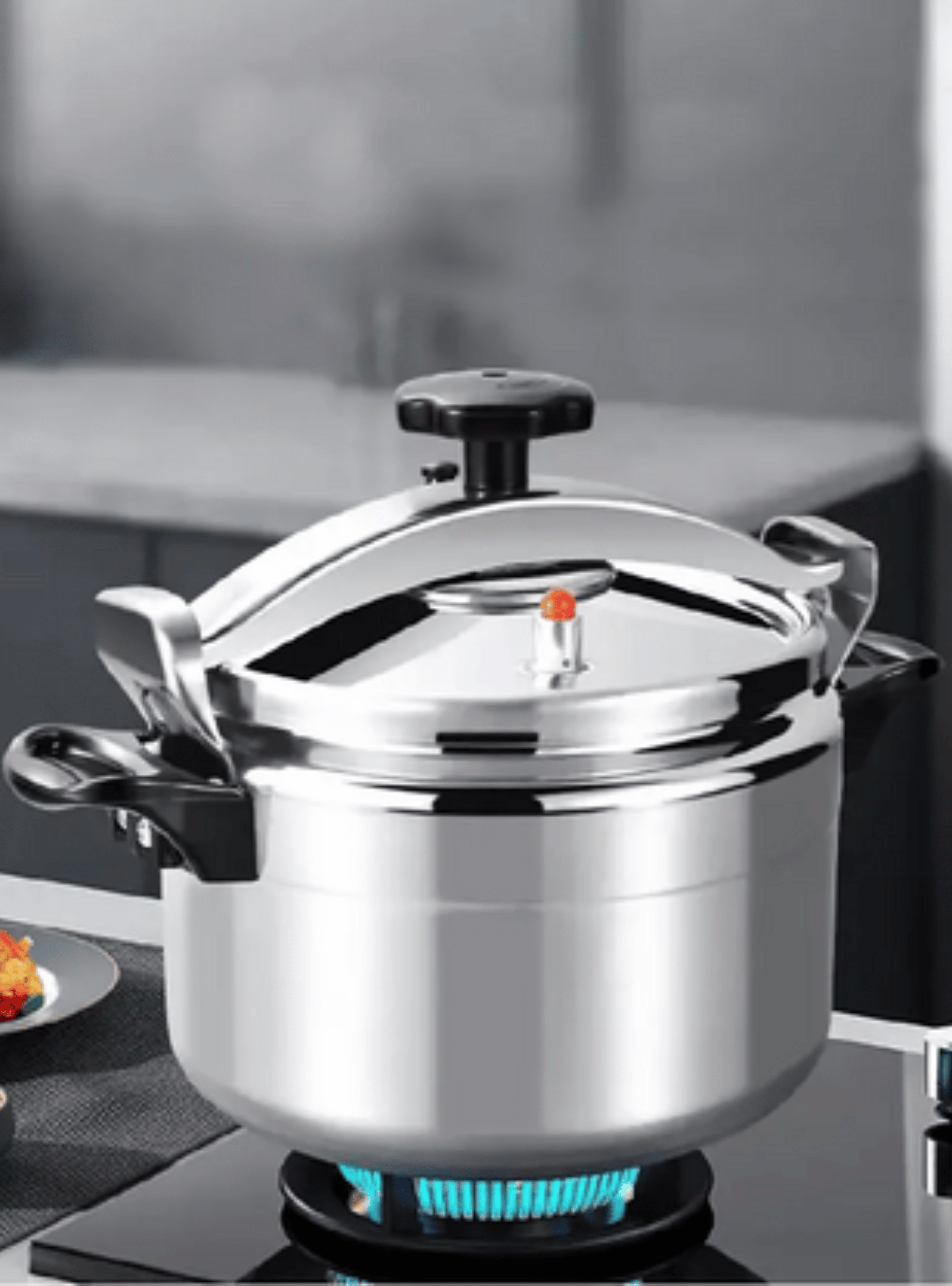 Olla a Presión Capacidad 5 Litros Calidad Premium-3