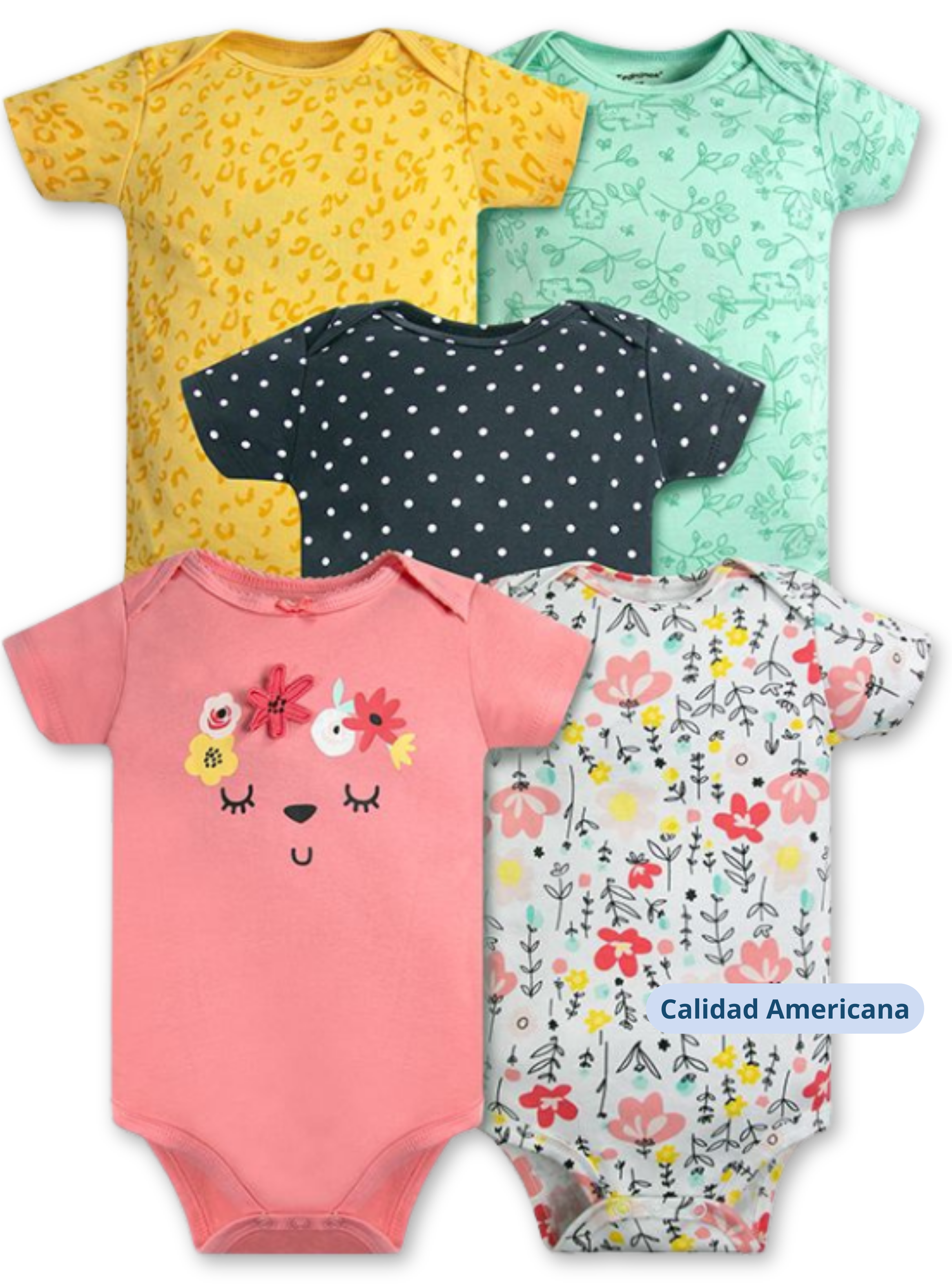 Pack 5 Bodys Niña Manga Corta Tedmimak 100% Algodón Rosa Floreado-3
