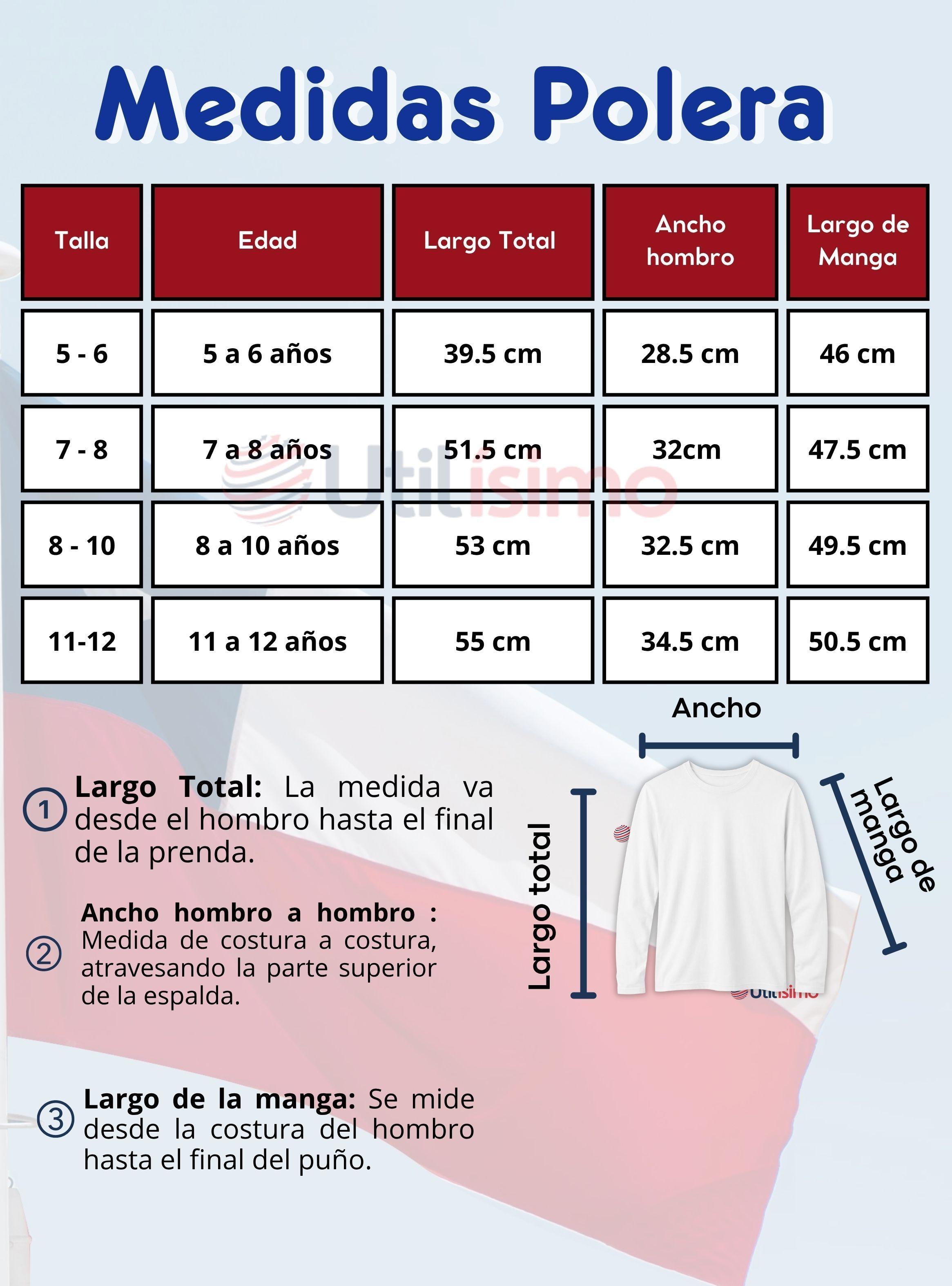 Traje Nortino Niña Azul 4 Piezas Con Polera Baile Típico Fiestas Patrias-2