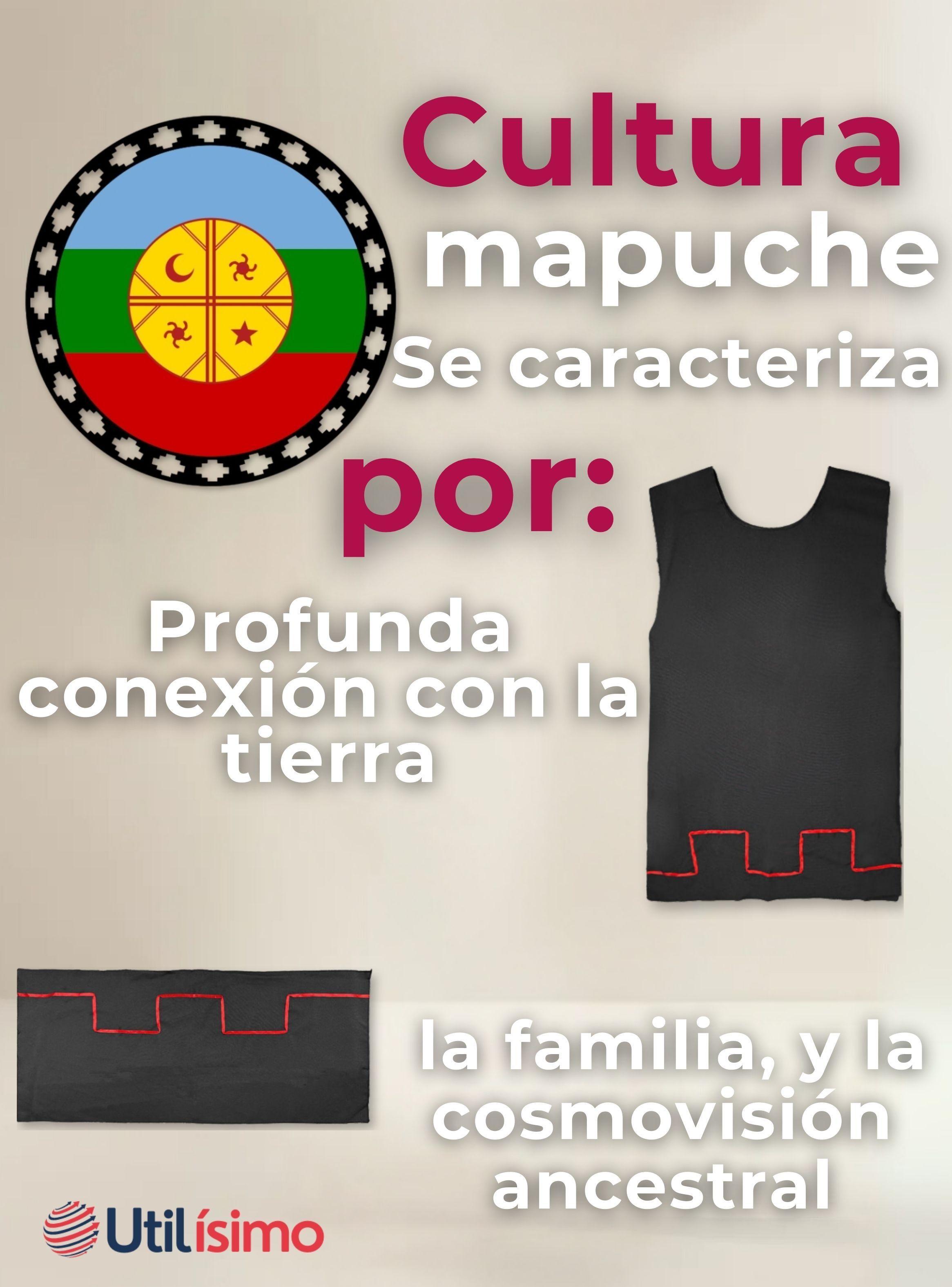 Traje Vestido Mapuche Niña Incluye Trapelacucha Fiestas Patrias -5
