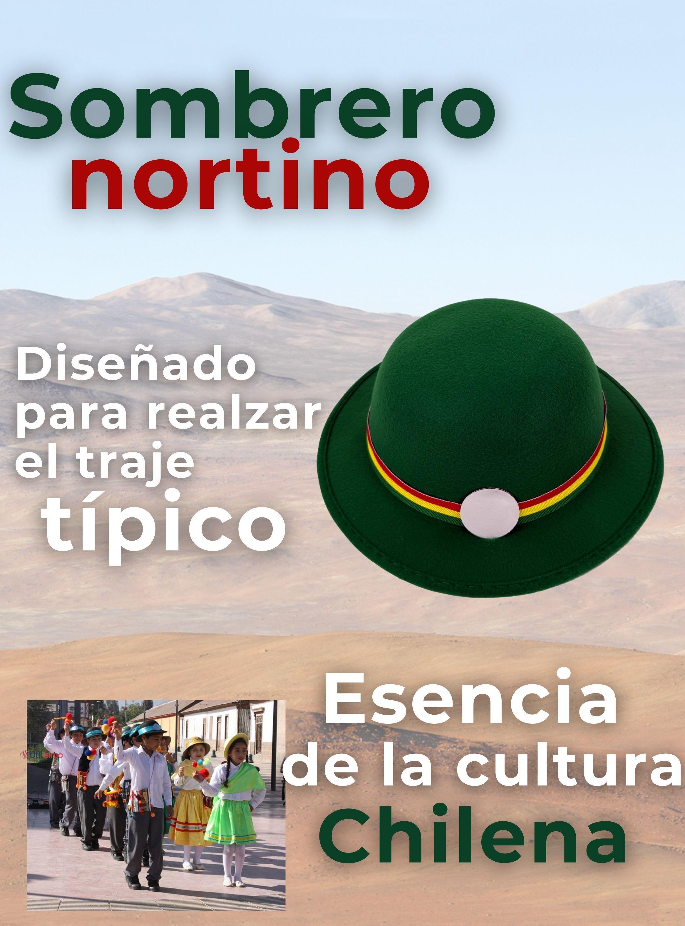 Sombrero Nortino Fiestas Patrias Gorro Niña Baile Danzas Verde-6