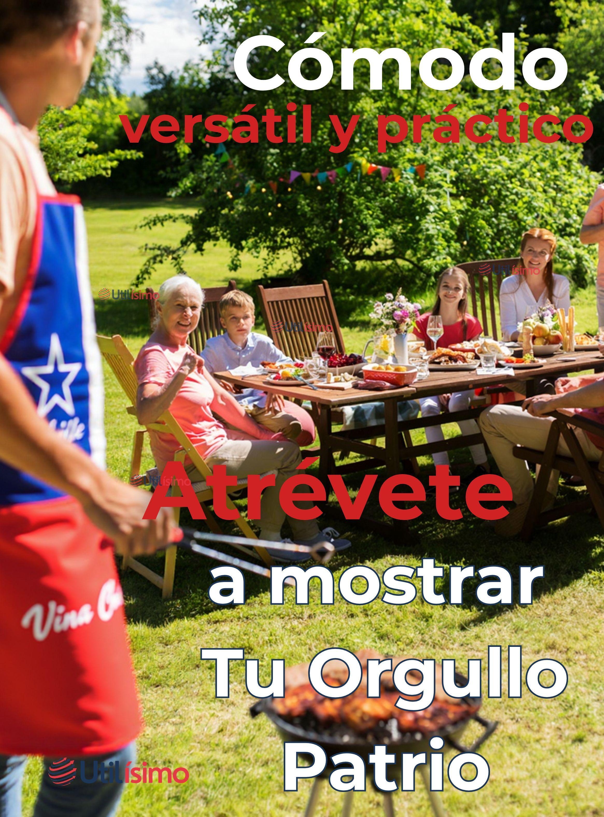 Pack 3 Delantal Cocina Fiestas Patrias Bandera Chilena 60X90 CM Viva Chile-5