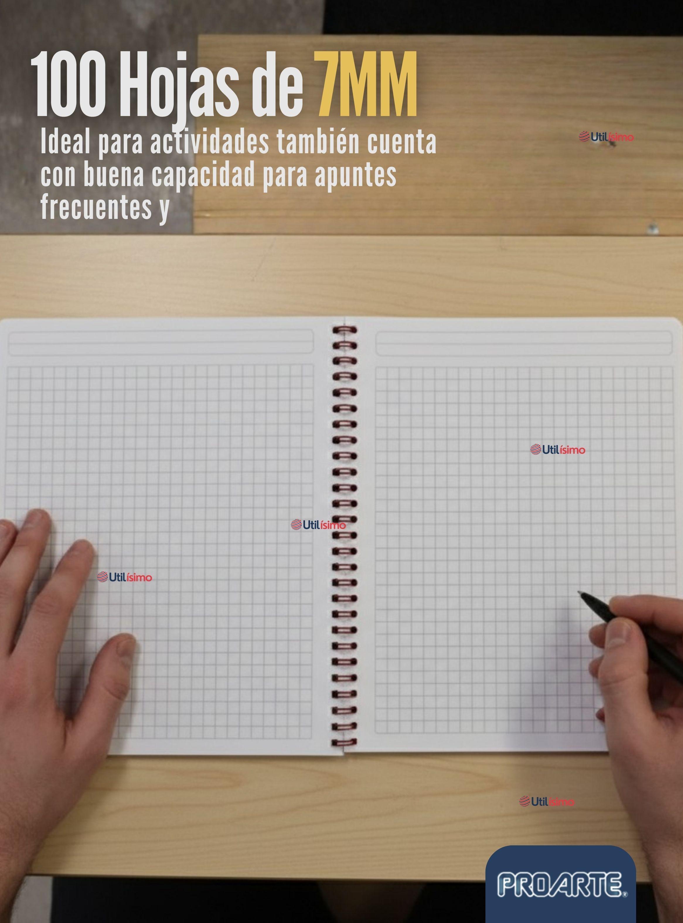 Pack 5 Cuadernos Universitarios Pompompurin 100 Hojas Proarte 7mm Diseño Surtido-6