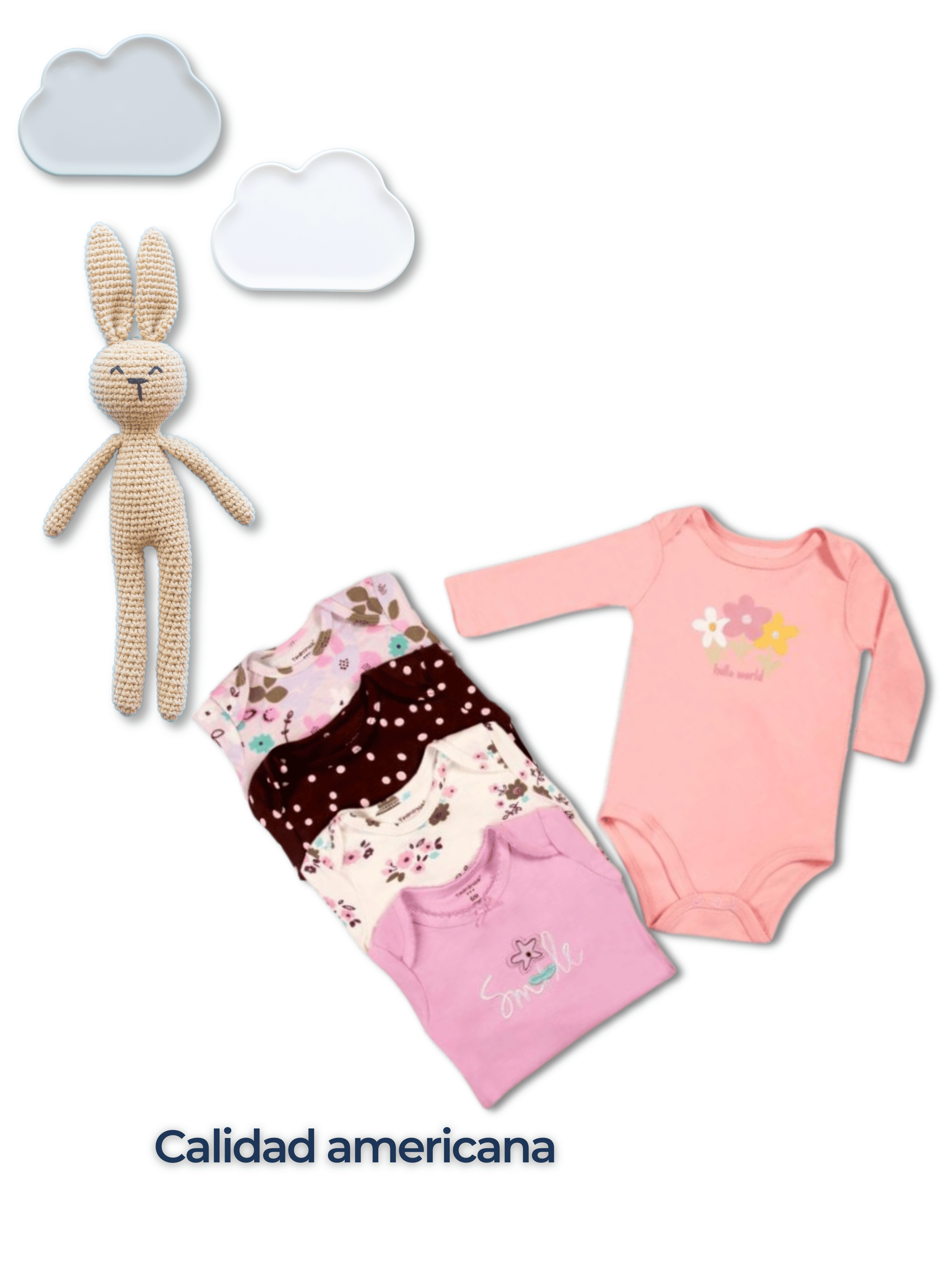 Pack 5 Bodys Bebé Niña Manga Larga Tedmimak 100% Algodón Petal & Flowers-5
