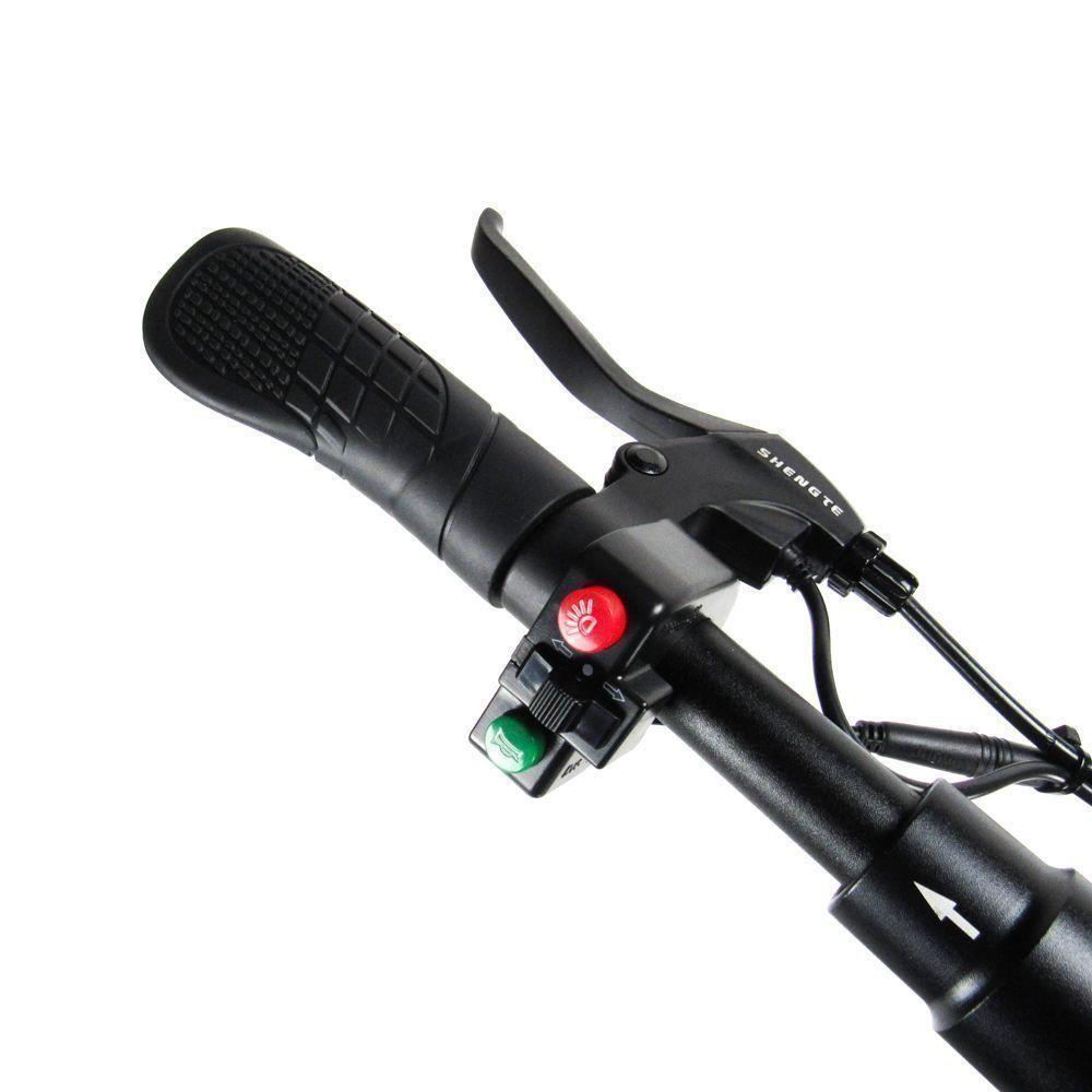 Scooter Shengte ST1002 800w Black-3