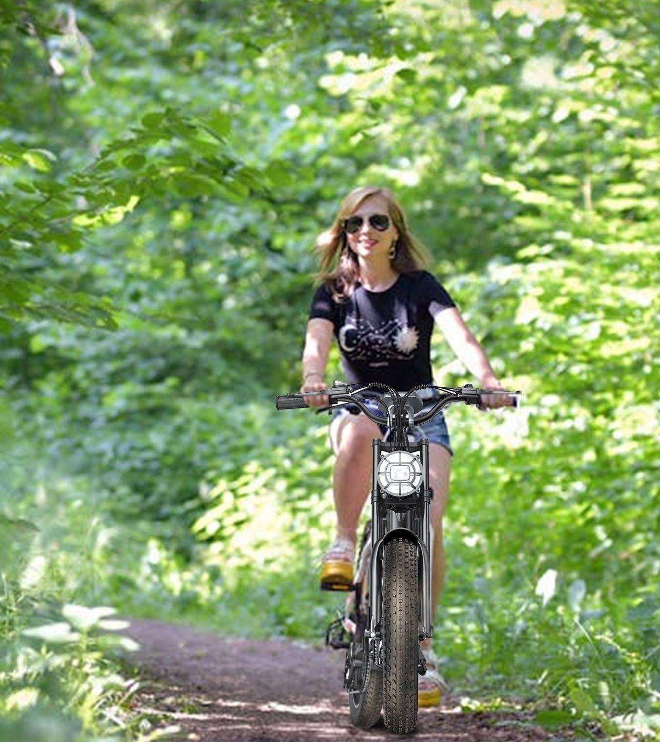 E-Bike SHENGTE DYZ Dual Motor 3000w-5