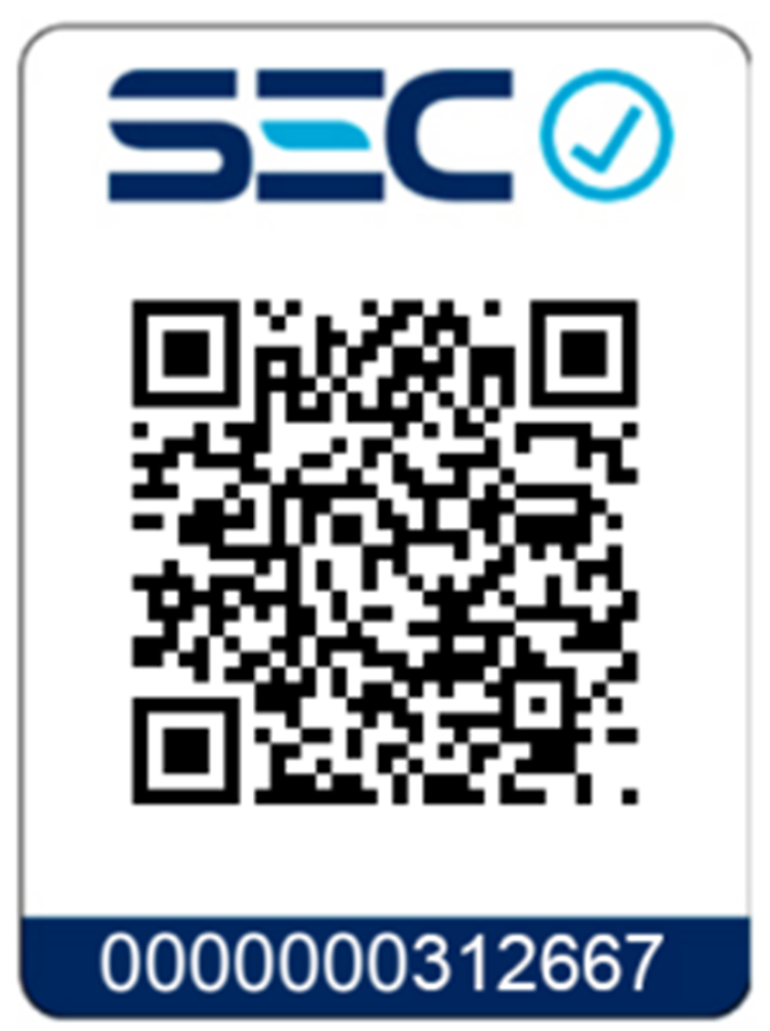 Anafe Cocina Gas 2 Platos Fierro Fundido Certificada Sec-3