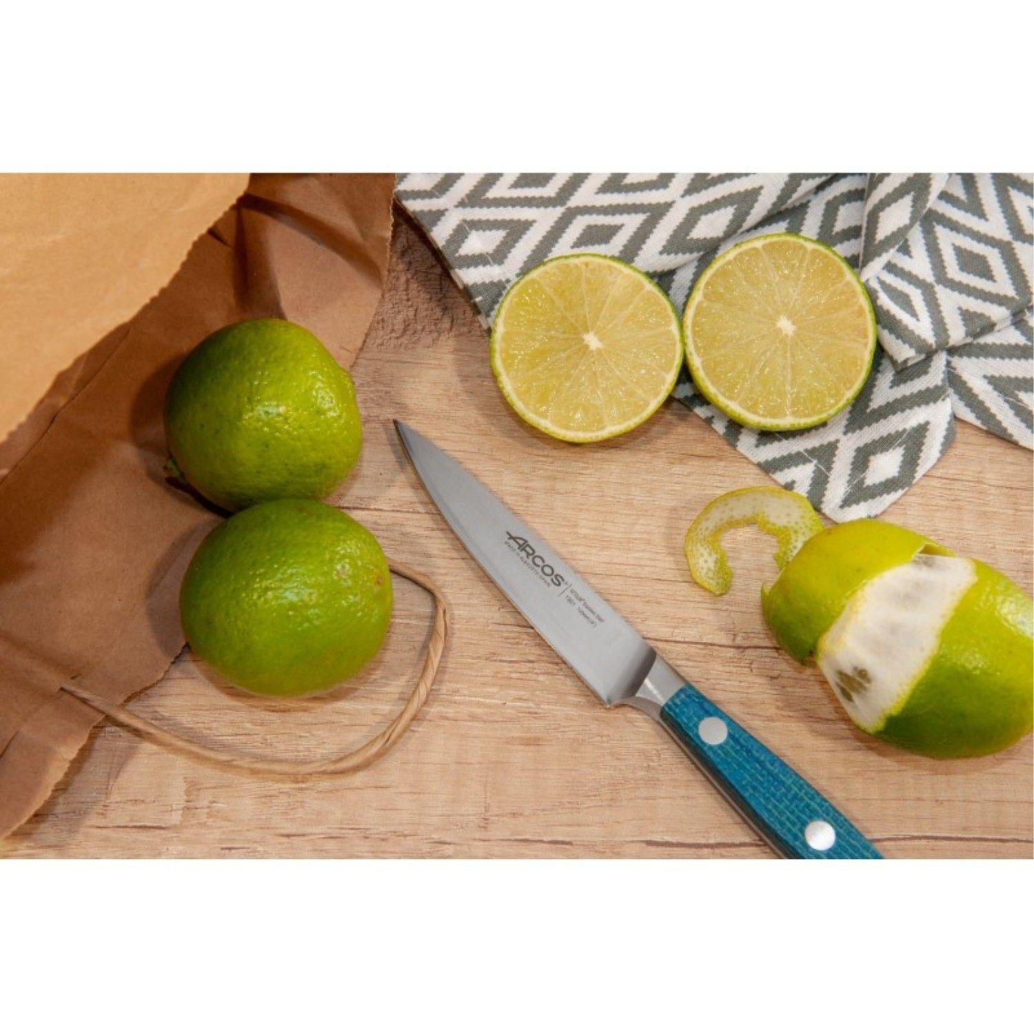 Cuchillo Puntilla 10cm Brooklyn Arcos-3