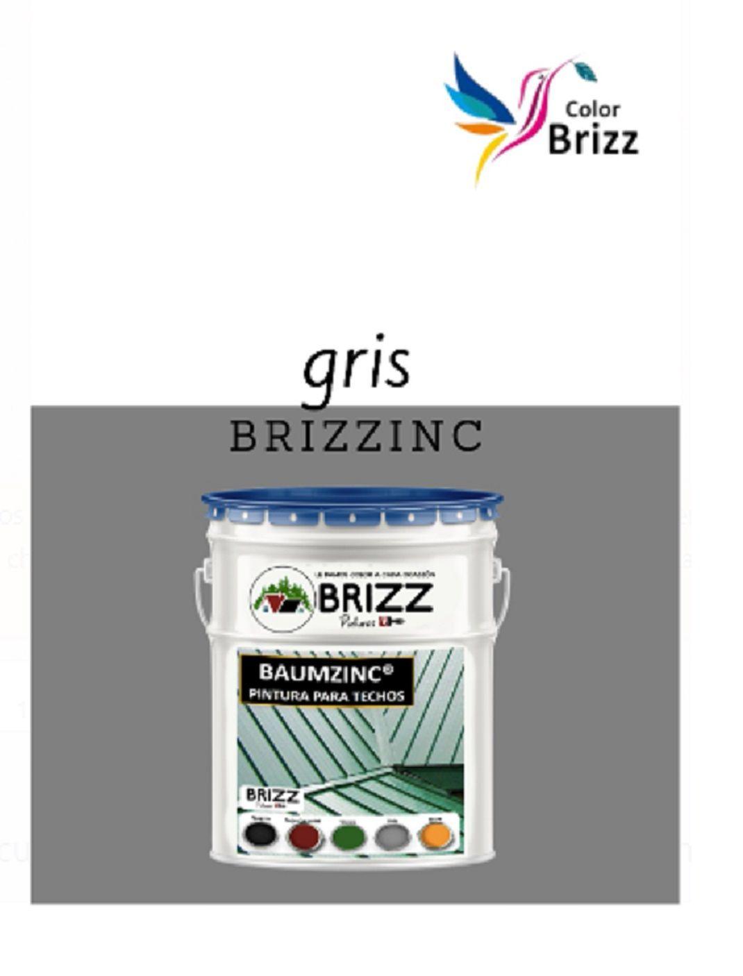 Brizzinc Baum Colorbrizz GRIS-1