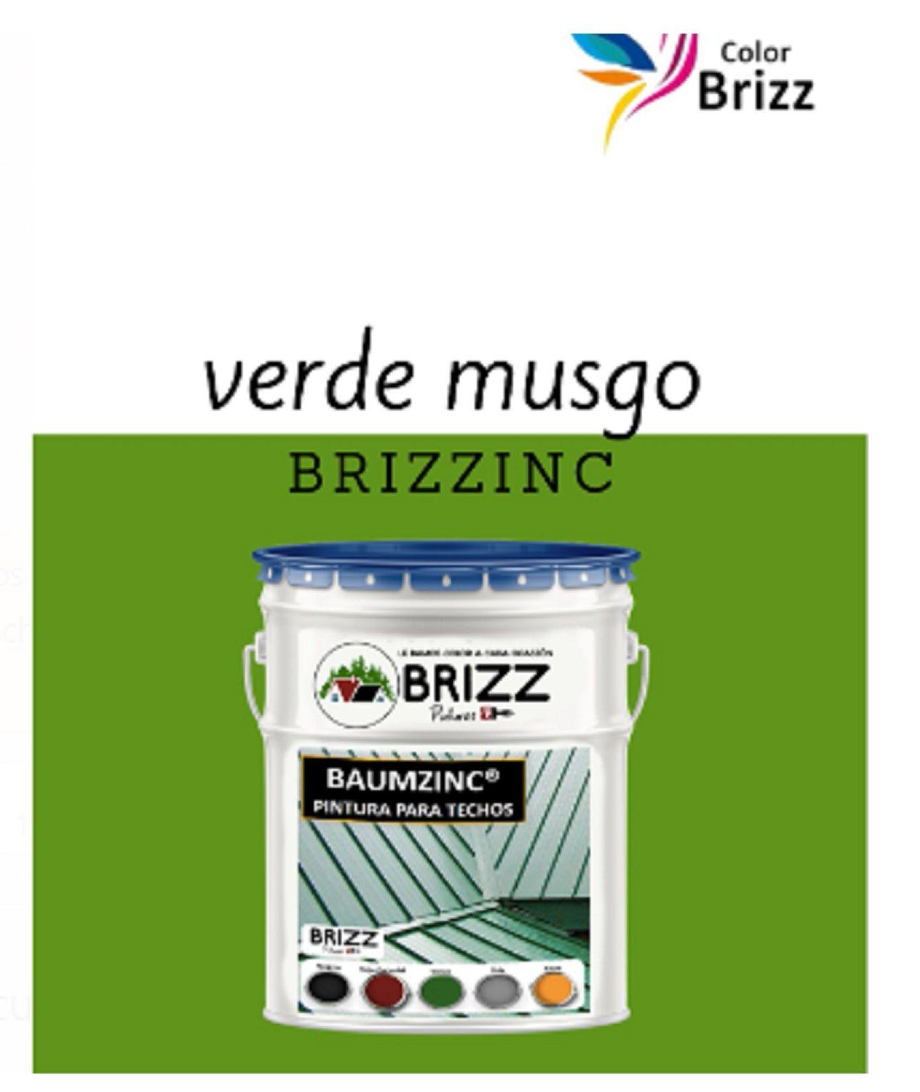 Galon Brizzinc  verde Muzgo BRIZZ-1