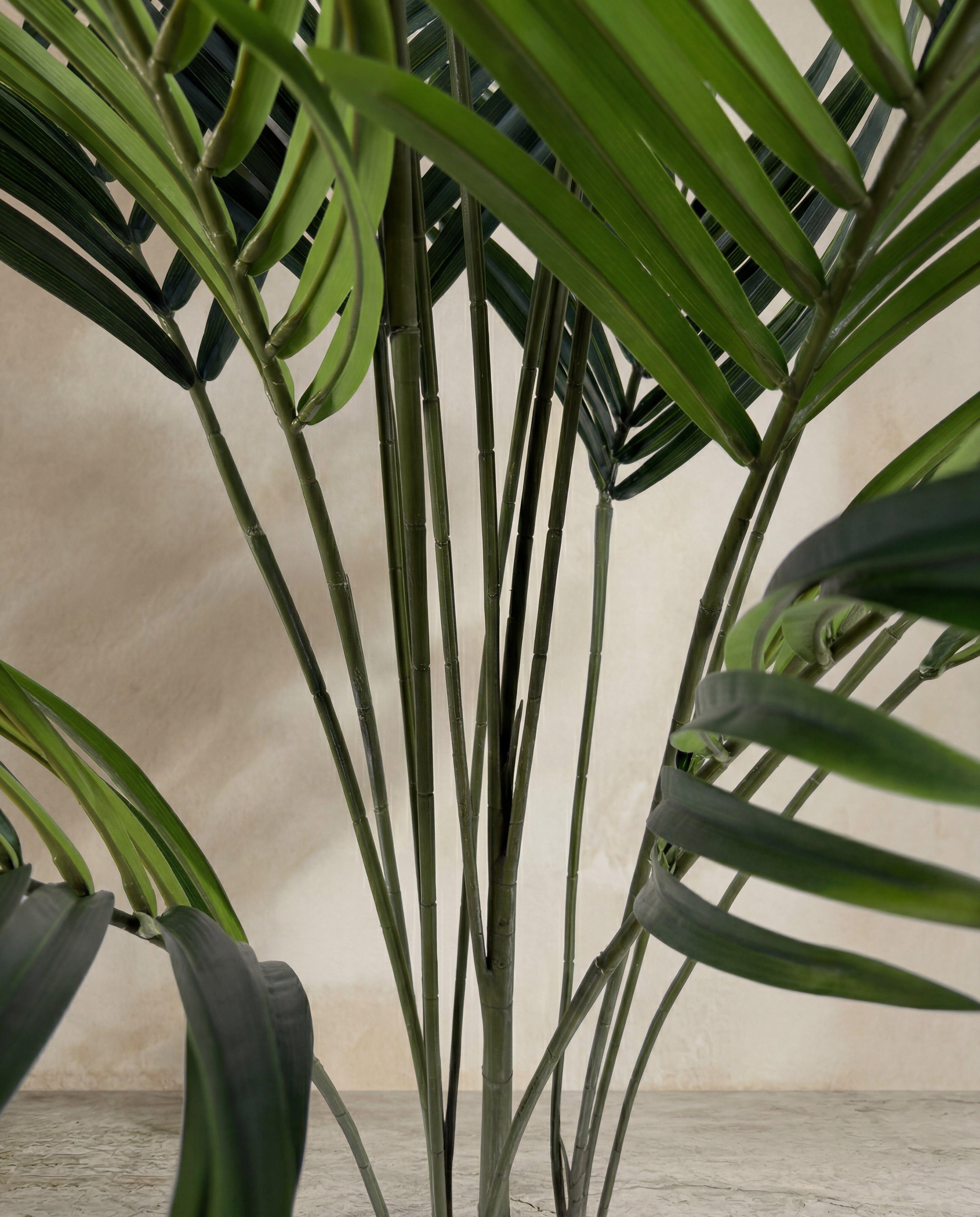 Planta Artificial Palma Areca 175cm Real Touch con Maceta-2