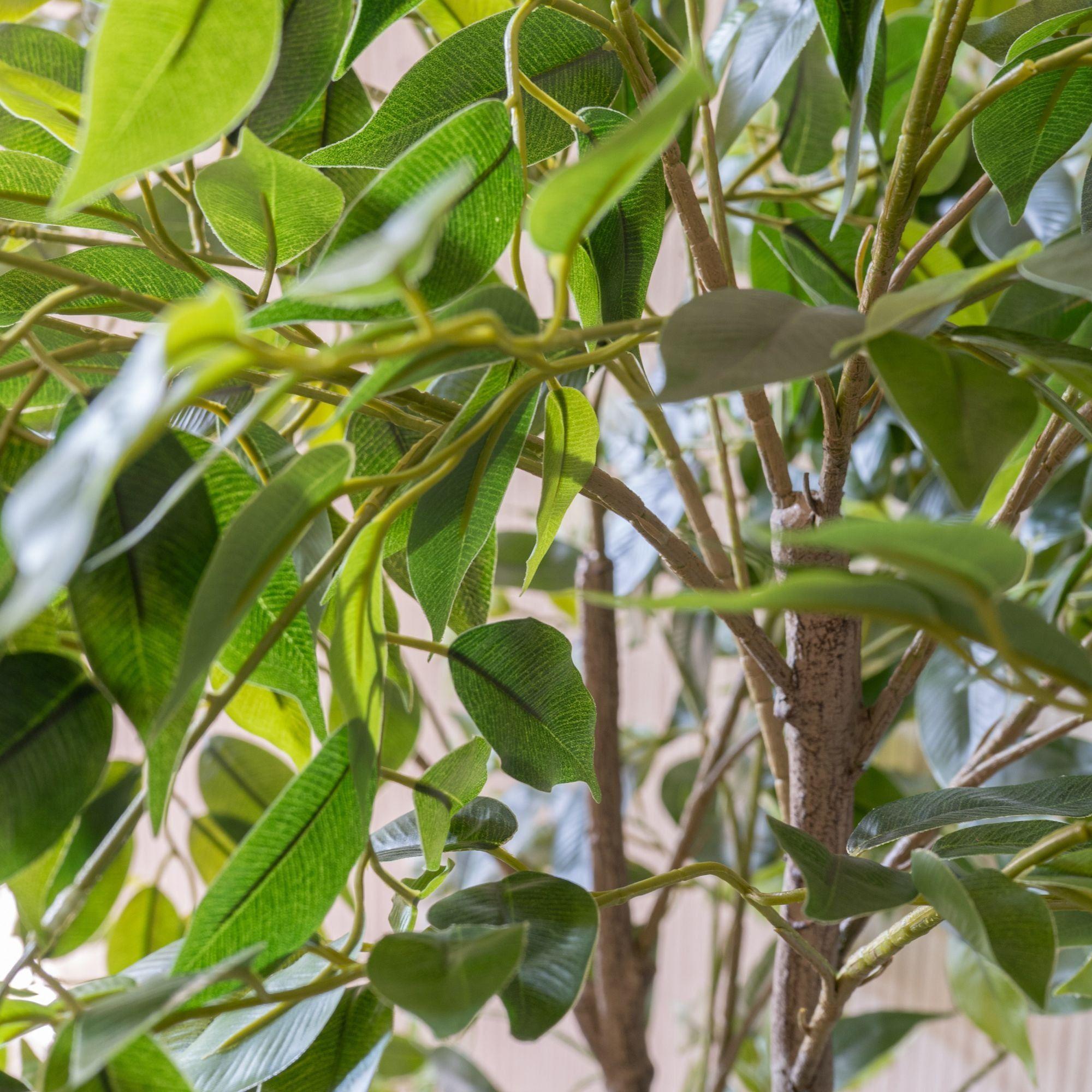 Planta Artificial Ficus Benjamina 156cm Real Touch con Maceta-1