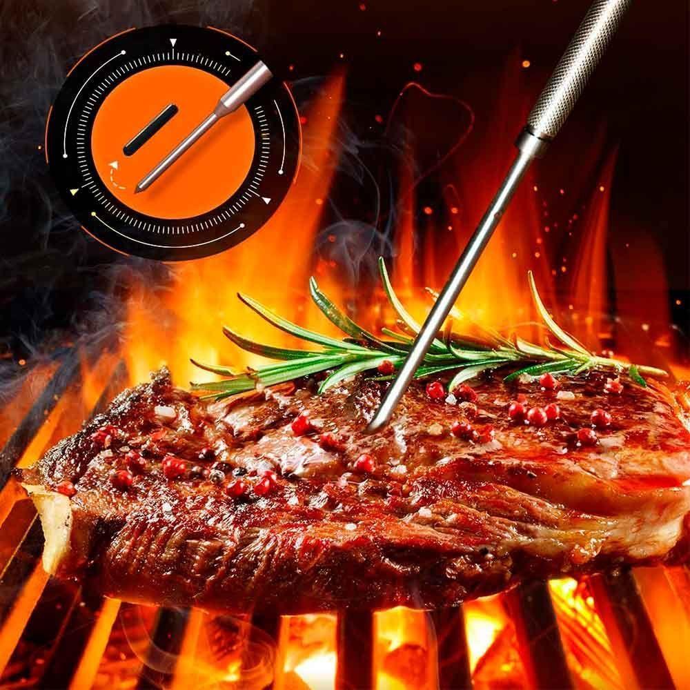 Termómetro de Carne Bluetooth con 4 Sondas-1