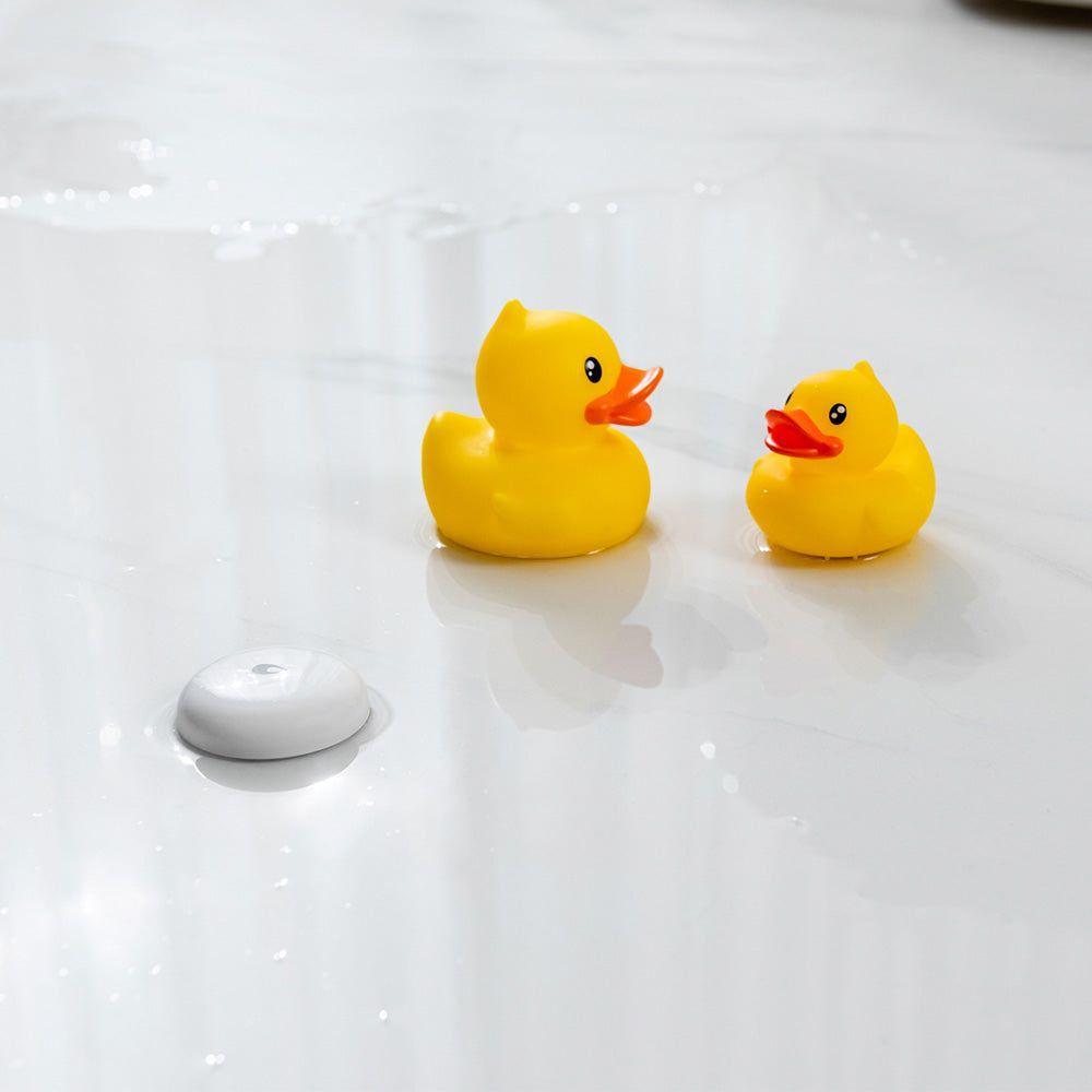 Sensor de Filtración de Agua T1-4