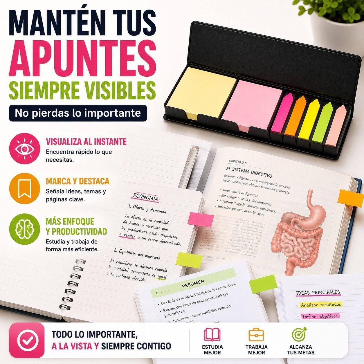 Set de Notas Adhesivas Premium Organizacion Impecable y Enfoque de Alto Nivel-5