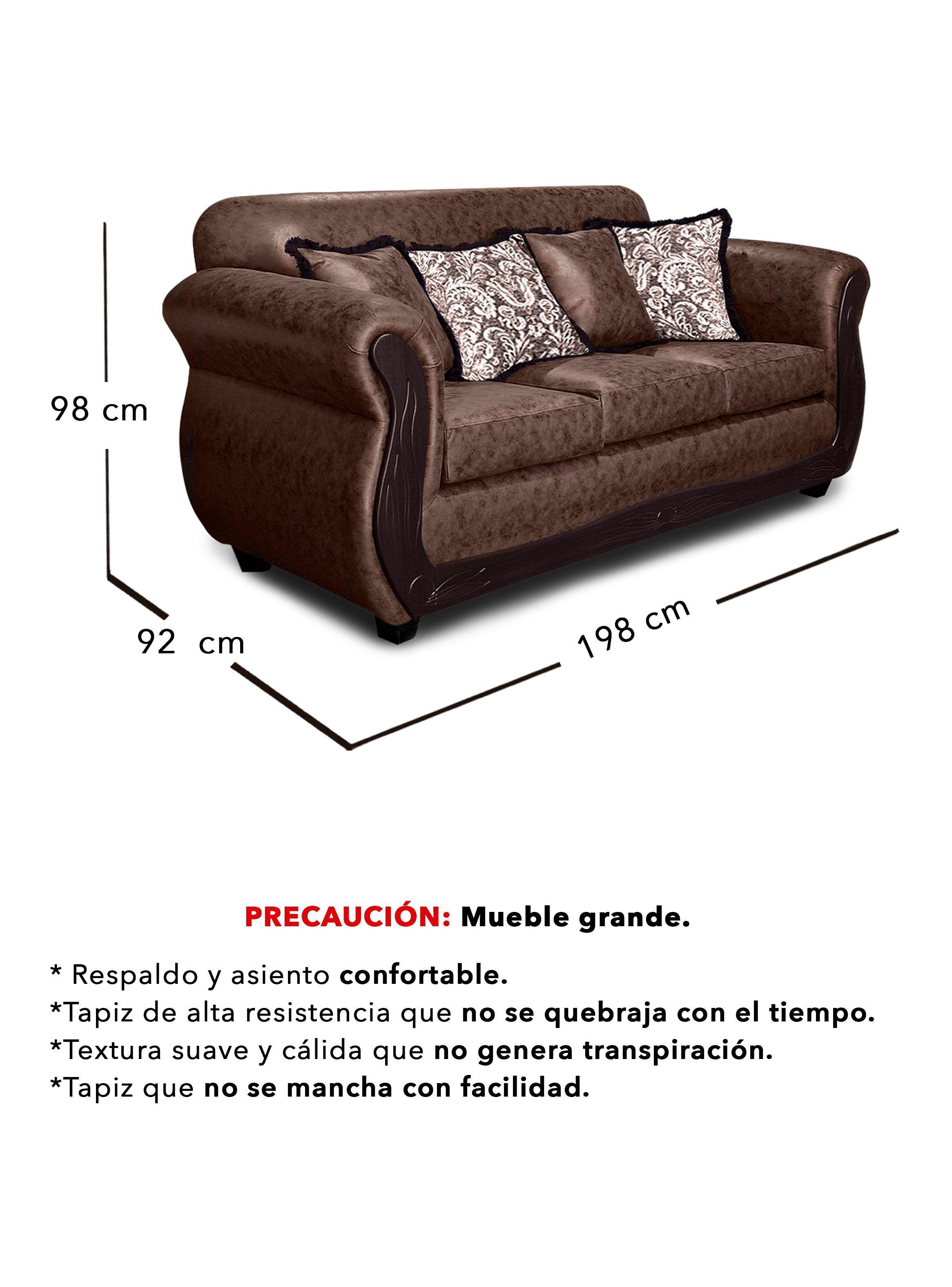 Living 3-1-1 San Luis Envejecido-4
