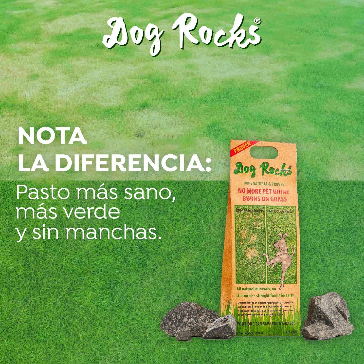 Dog Rocks 200grs-2