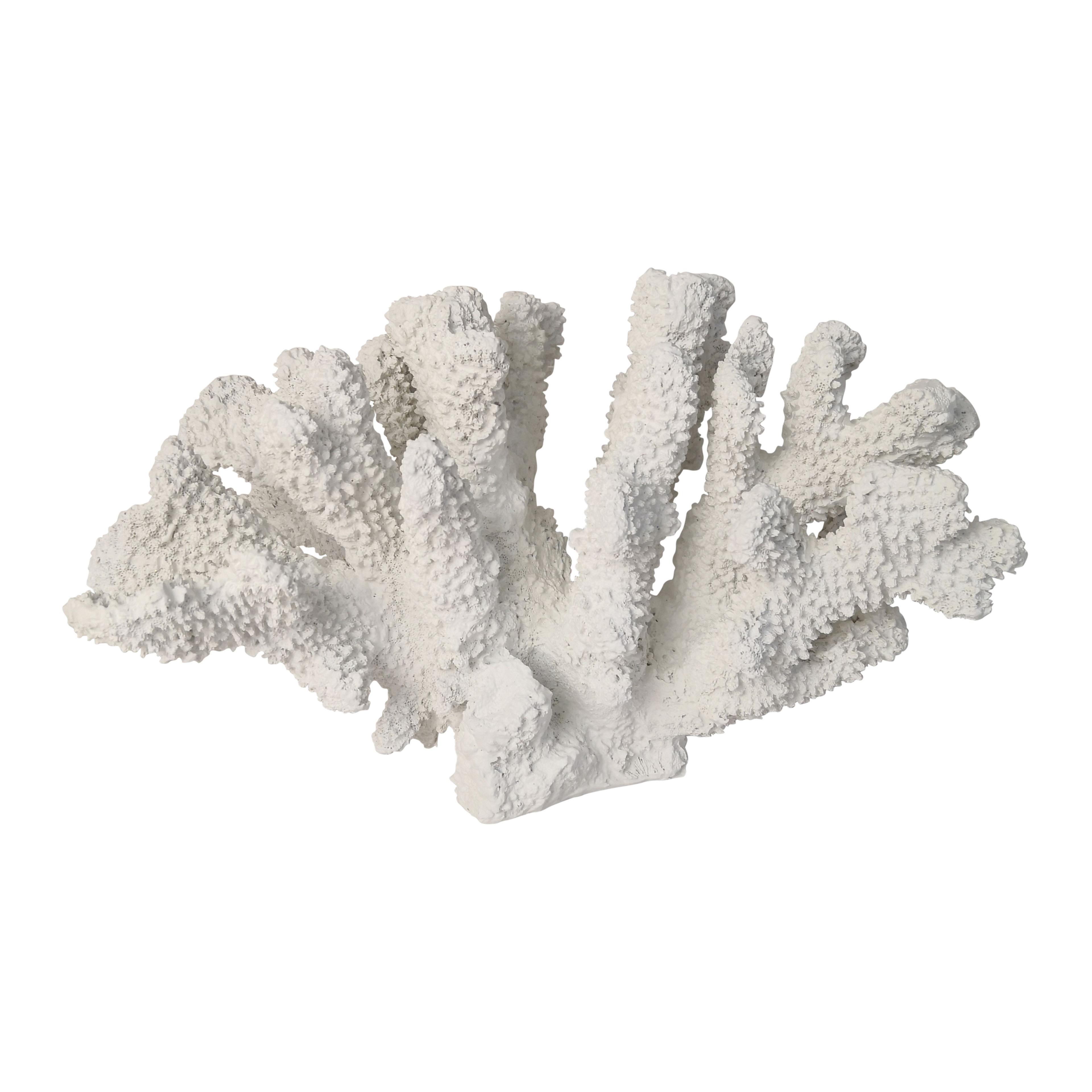 Escultura coral-0