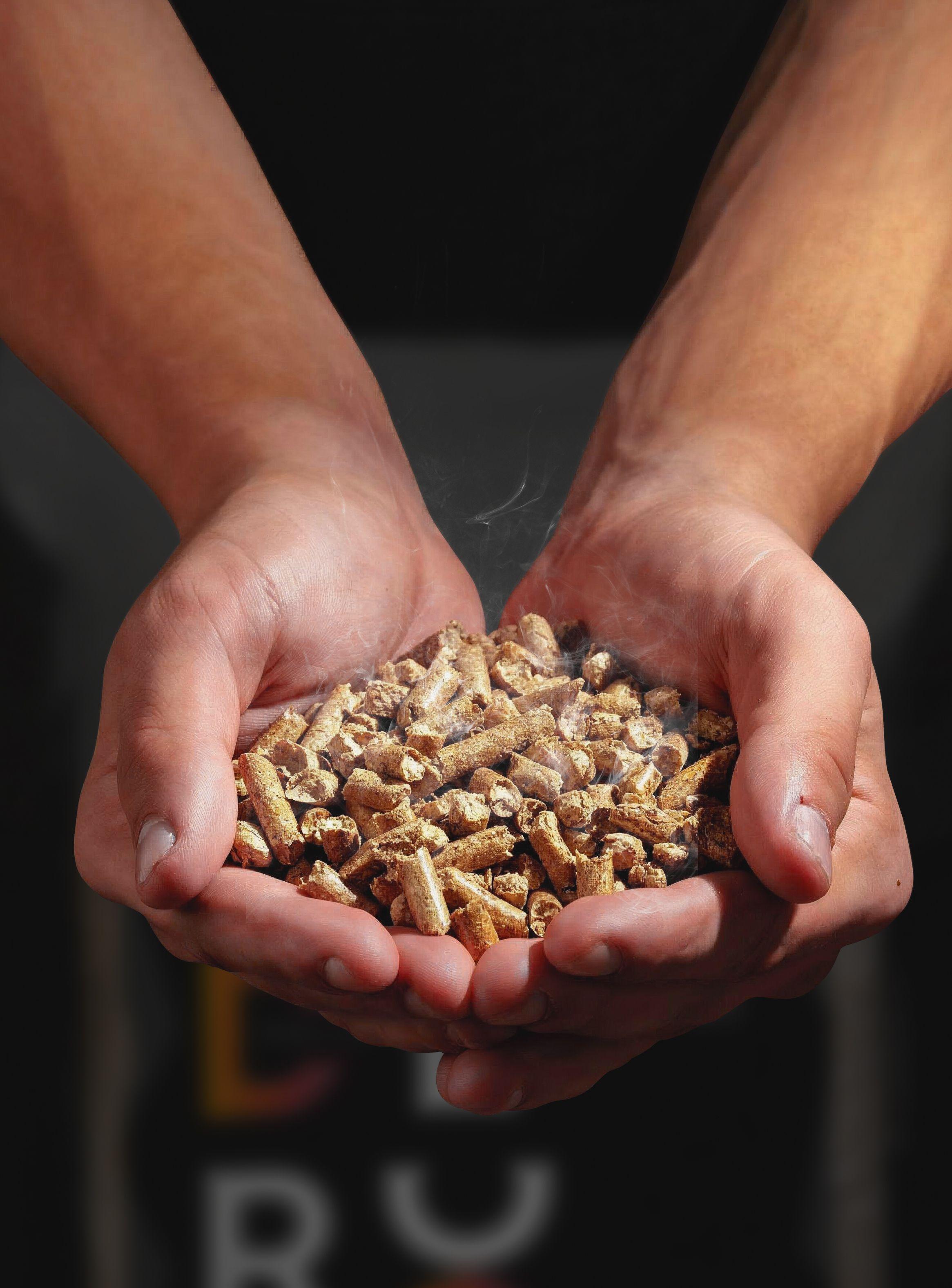 Pellet 15 kg, Pack 12 bolsas -1