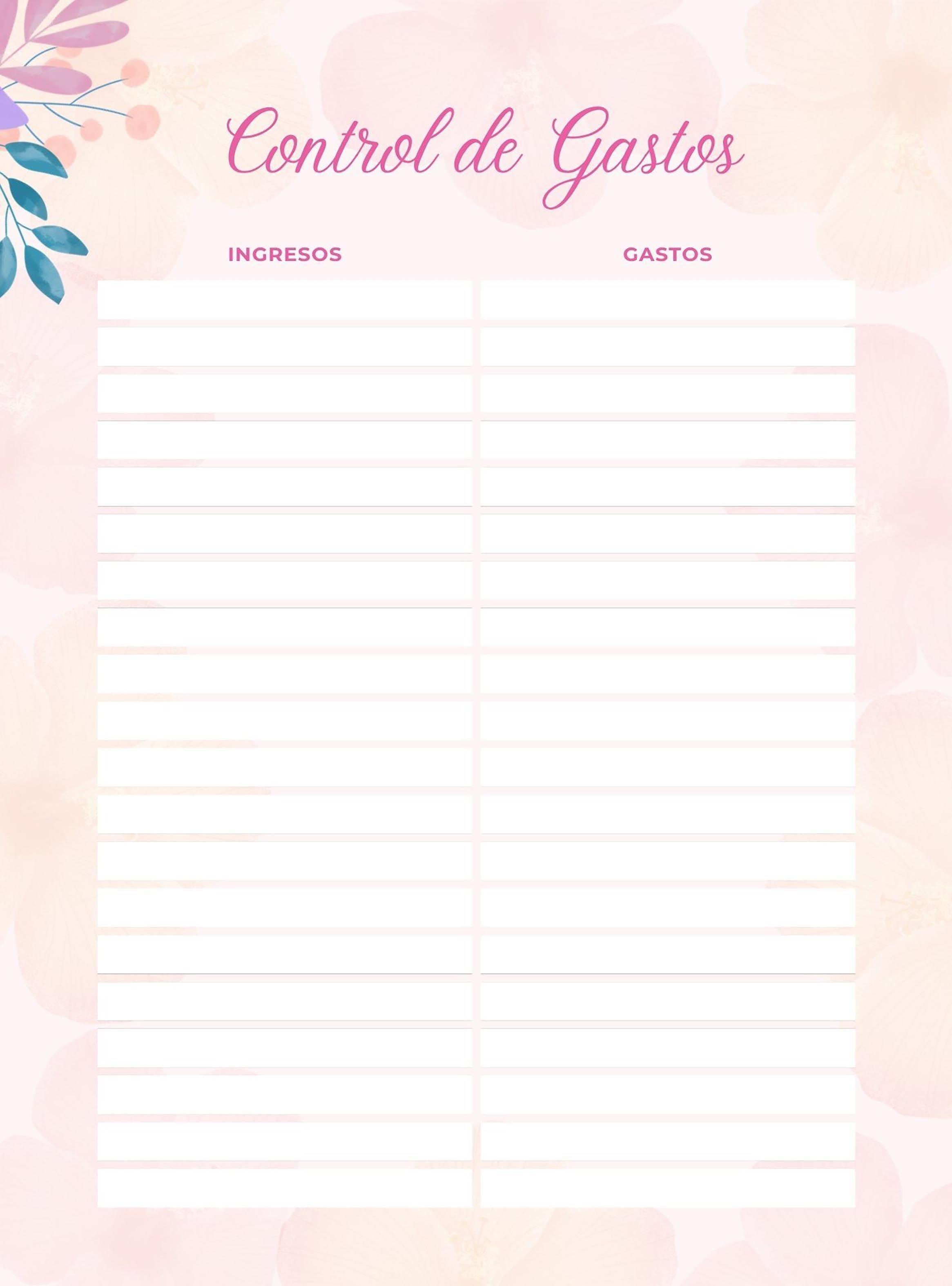 Planner Profesional Mujer Hasta Que Todo Sea Como Soñamos Rosado-3