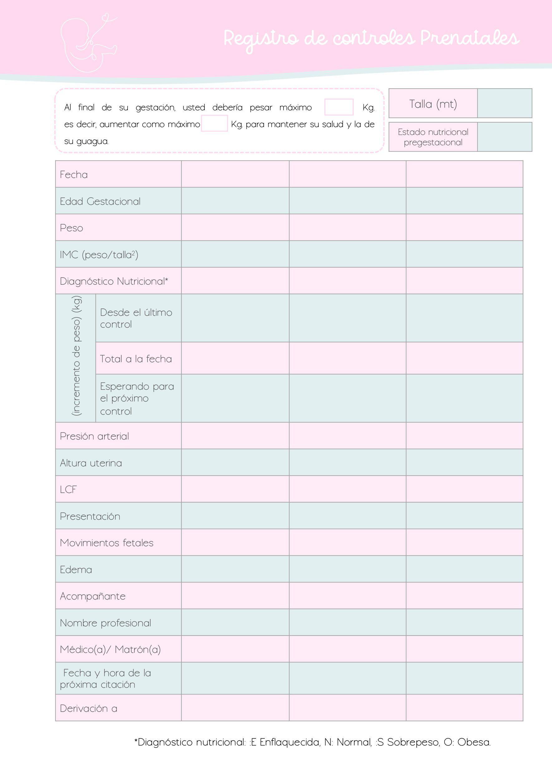 Planner Prenatal Agenda Embarazo Dulce Espera-3