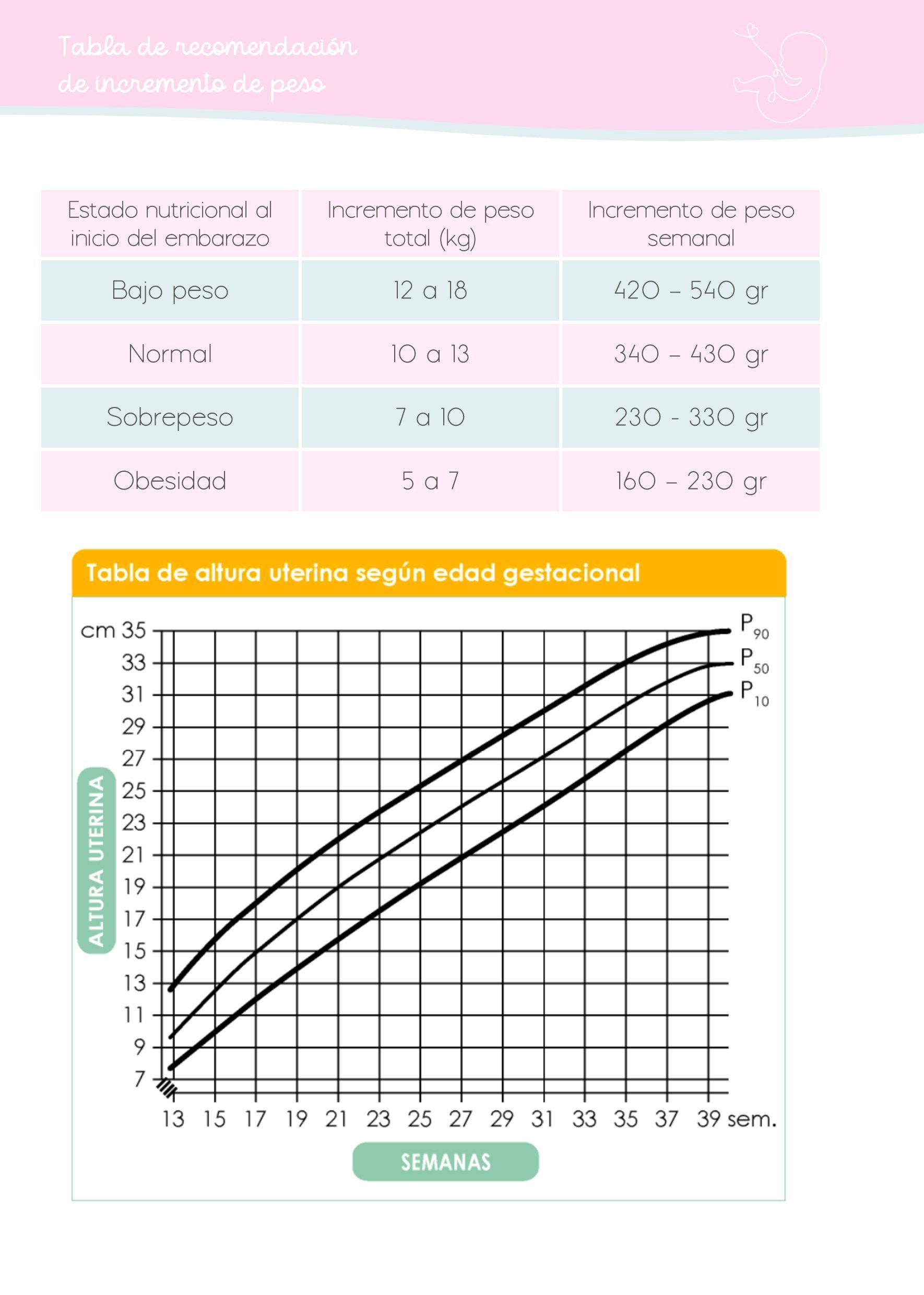 Planner Prenatal Agenda Embarazo Dulce Espera-7