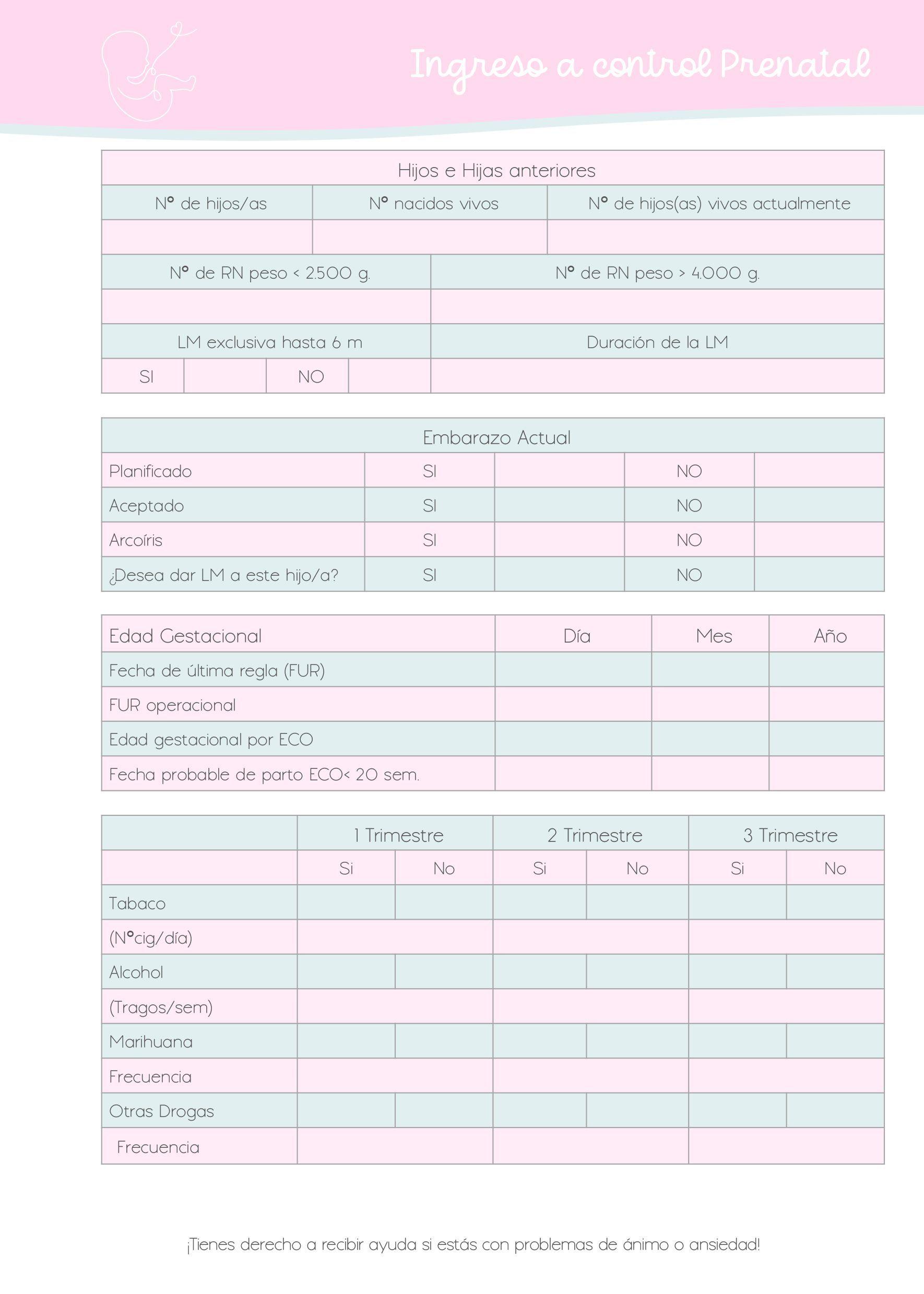 Planner Prenatal Agenda Embarazo Dulce Gestación-7