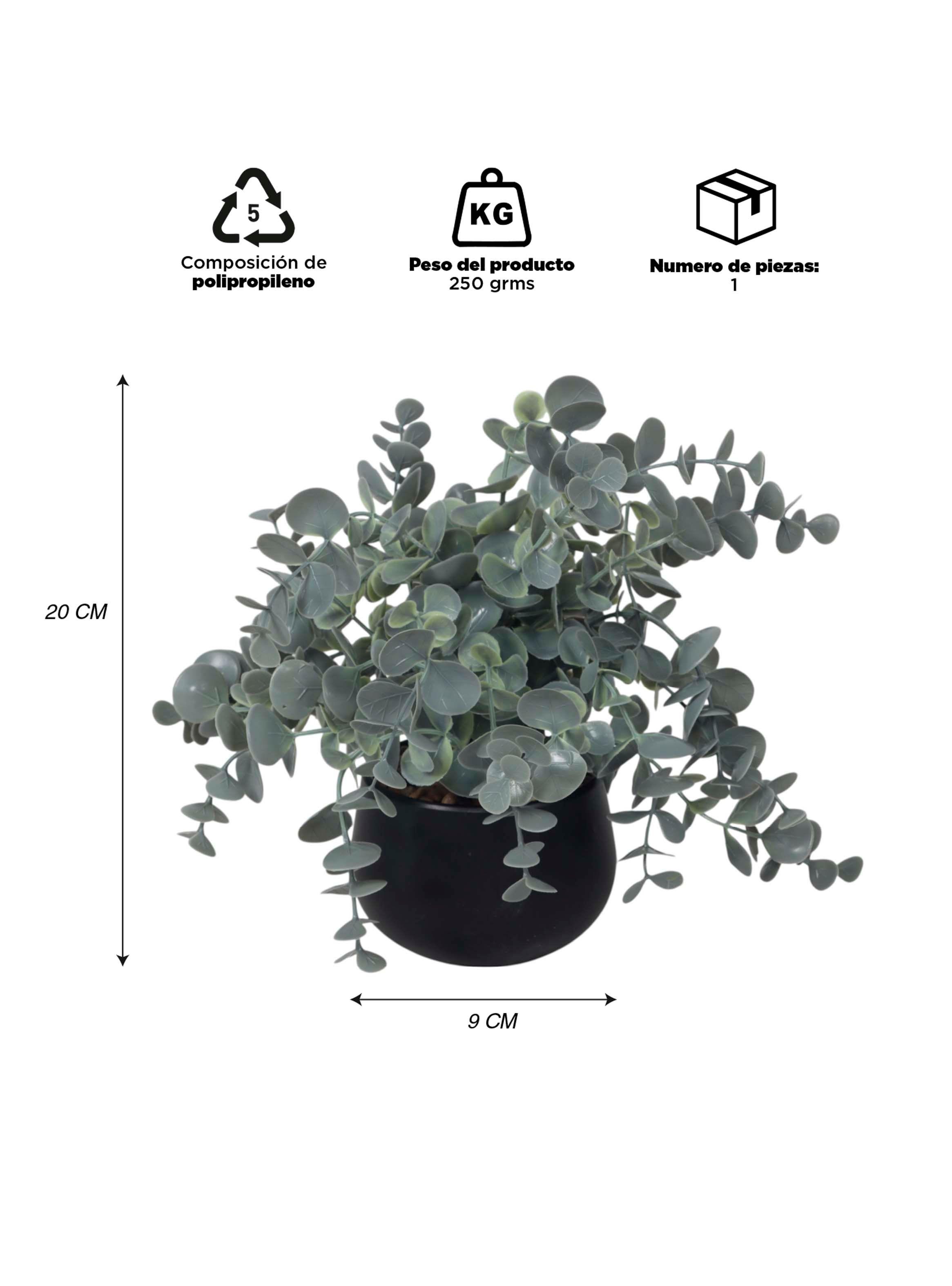 Planta Artificial Dichondra 20x9 cm-2