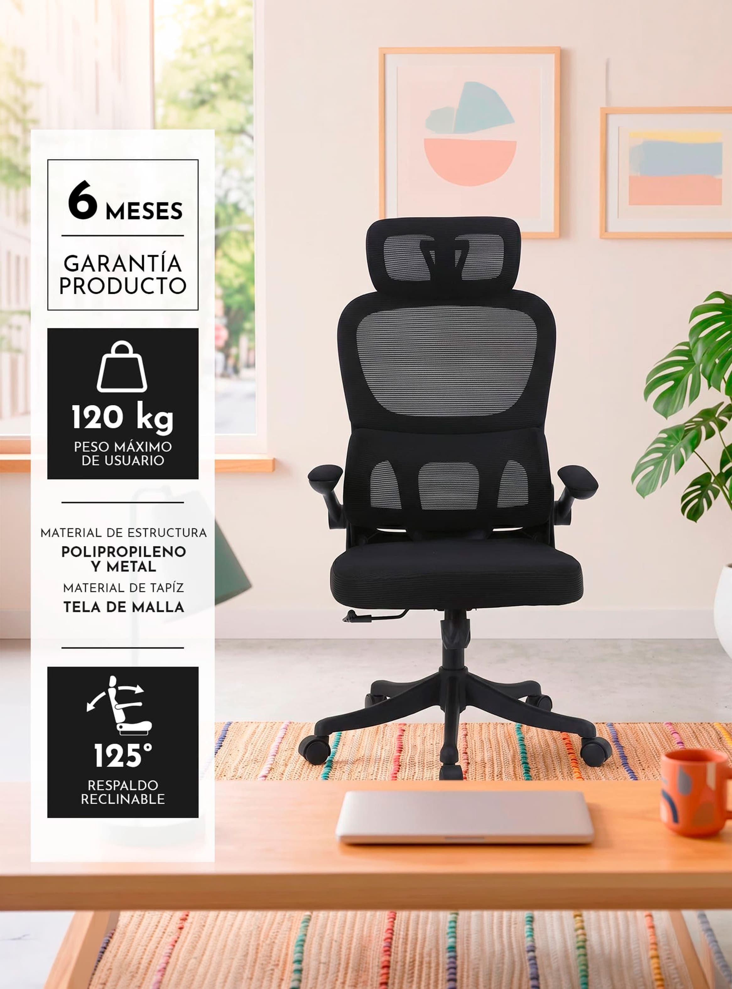 Silla Escritorio Active Pro-2