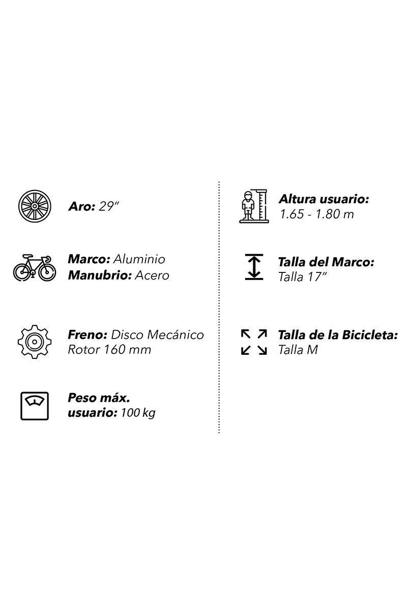 Bicicleta Mountain Bike Daya 29" Violeta-2