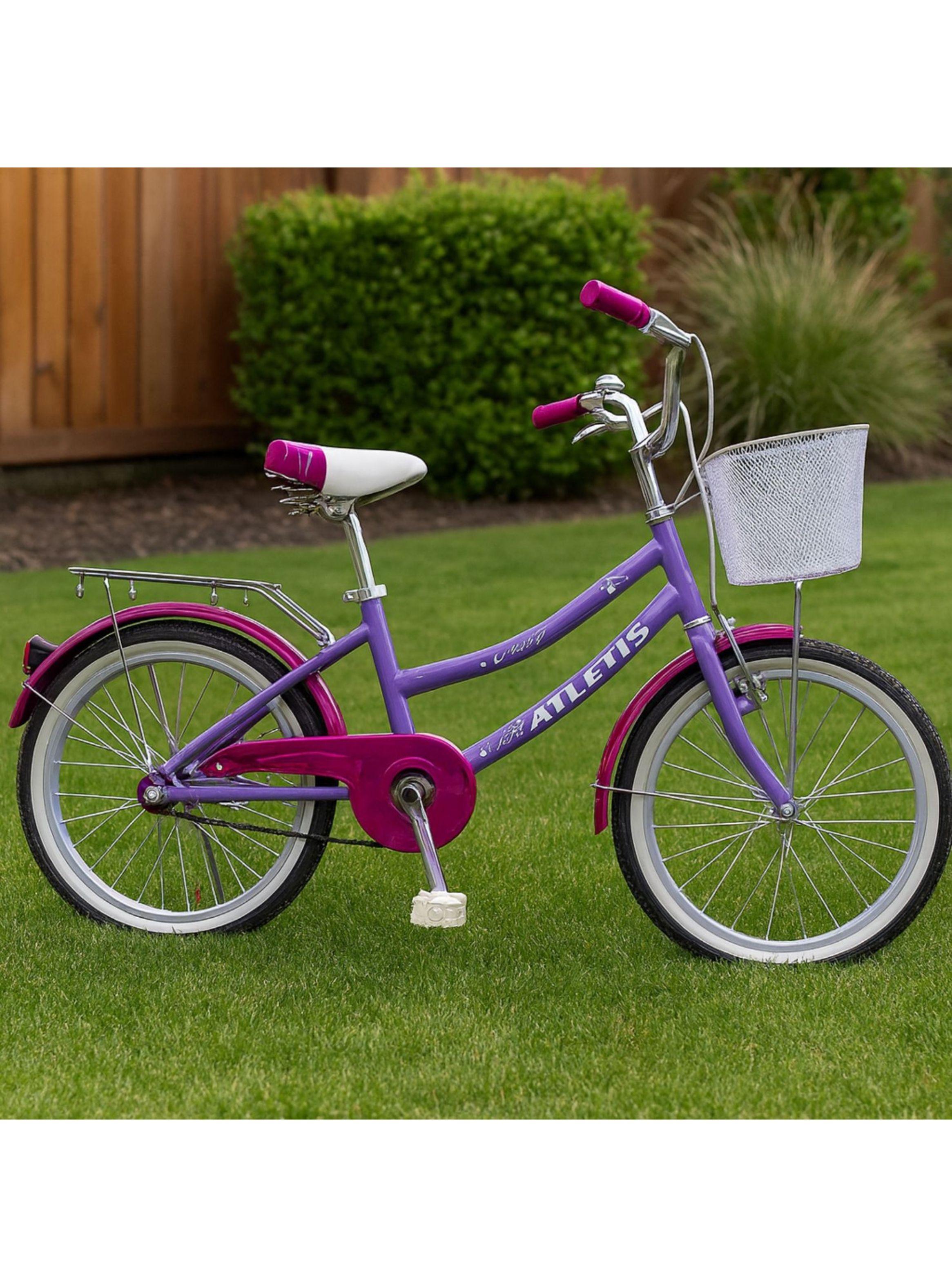 Bicicleta Infantil Classic Ride Canasto Aro 20-5