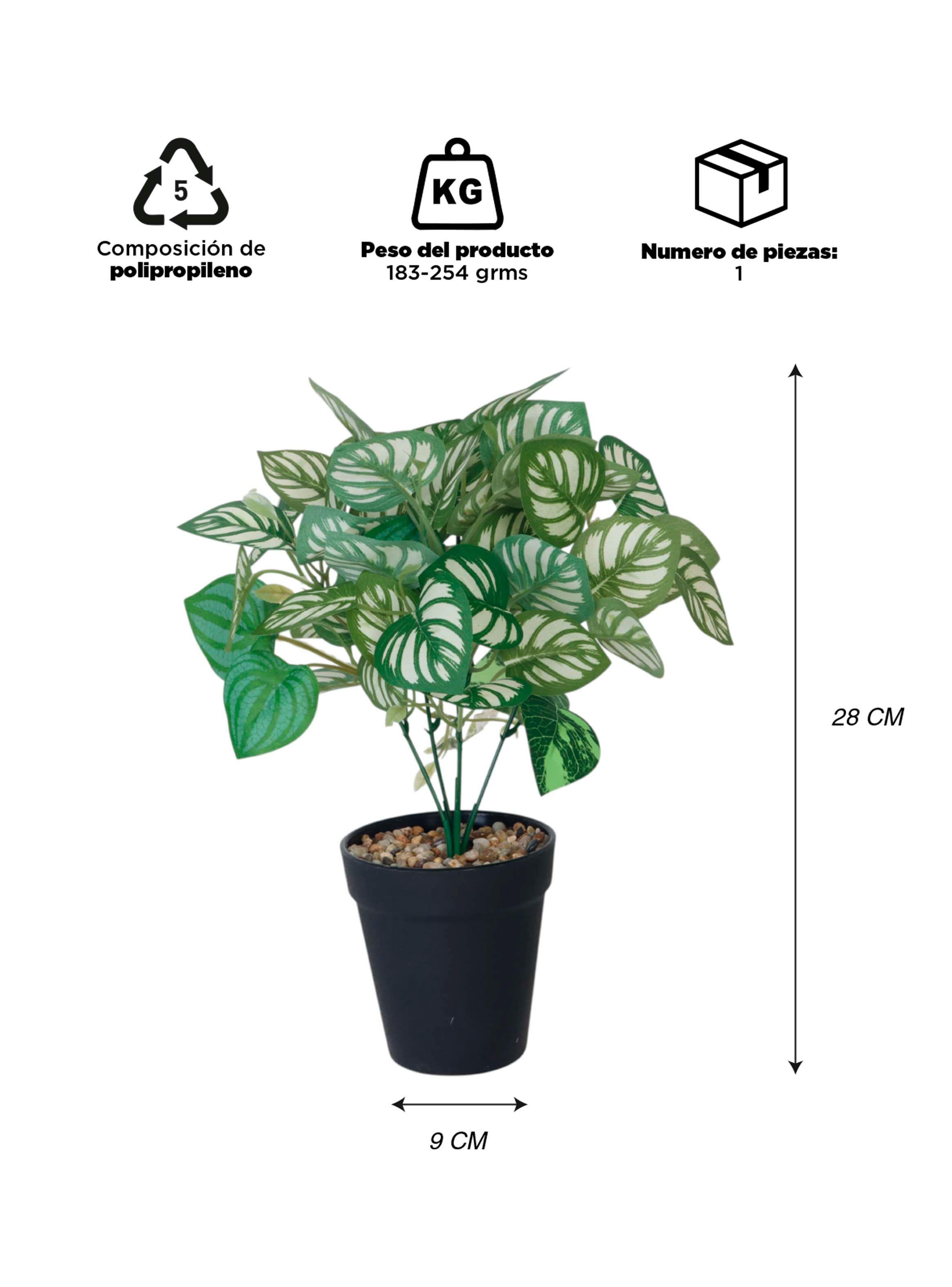 Planta Artificial Peperomia 28x9 cm-2