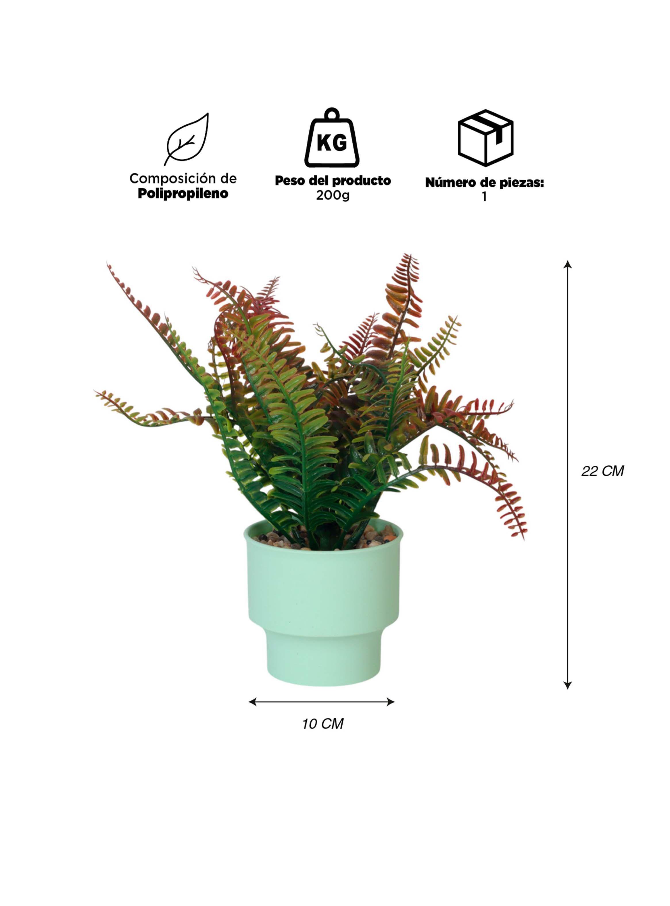 Planta Artificial Helecho 22x10 cm-2