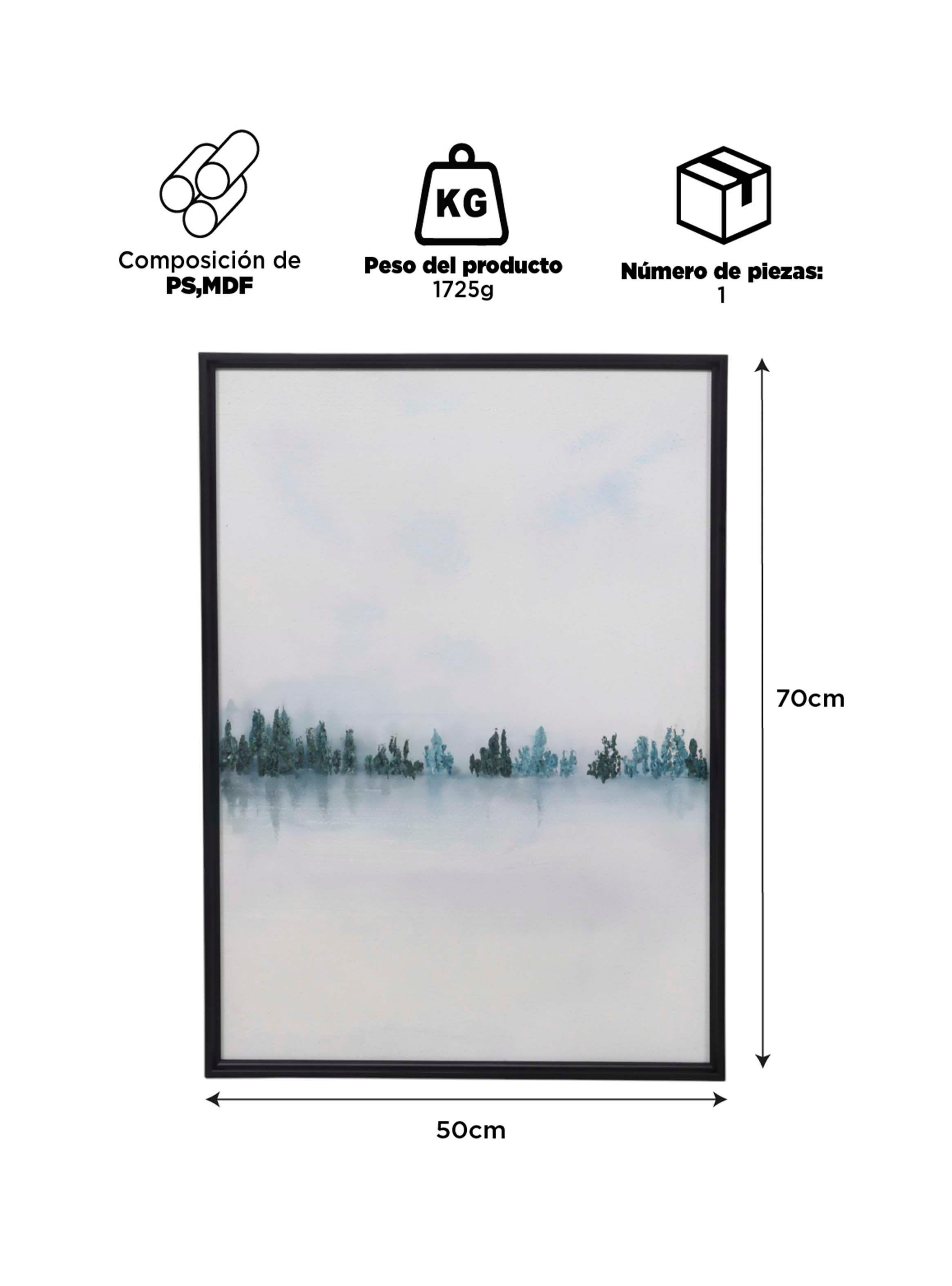 Cuadro Decorativo Abstracto B-1