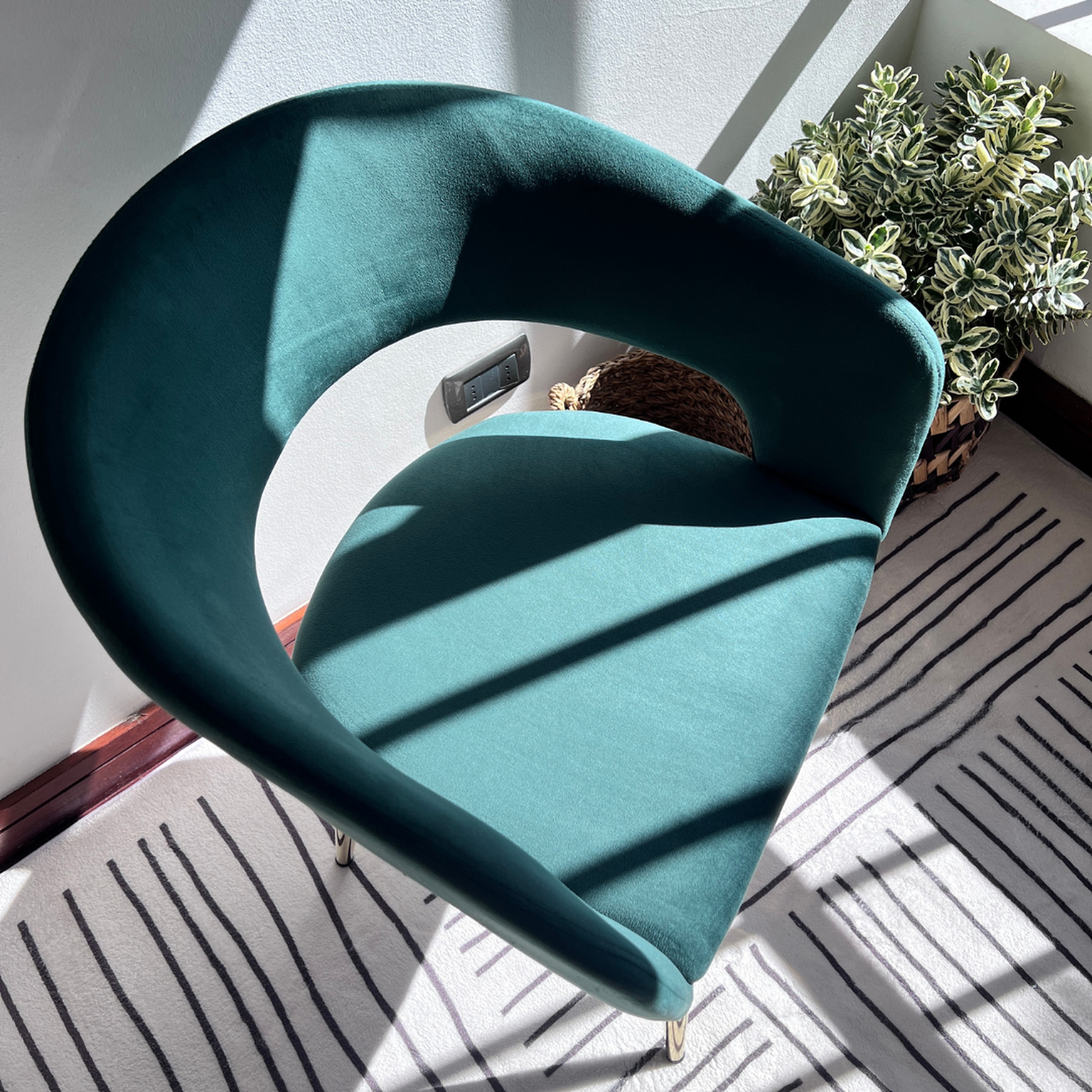 Sitial Sillón Siena Verde | Comodidad y Resistencia en Terciopelo-6