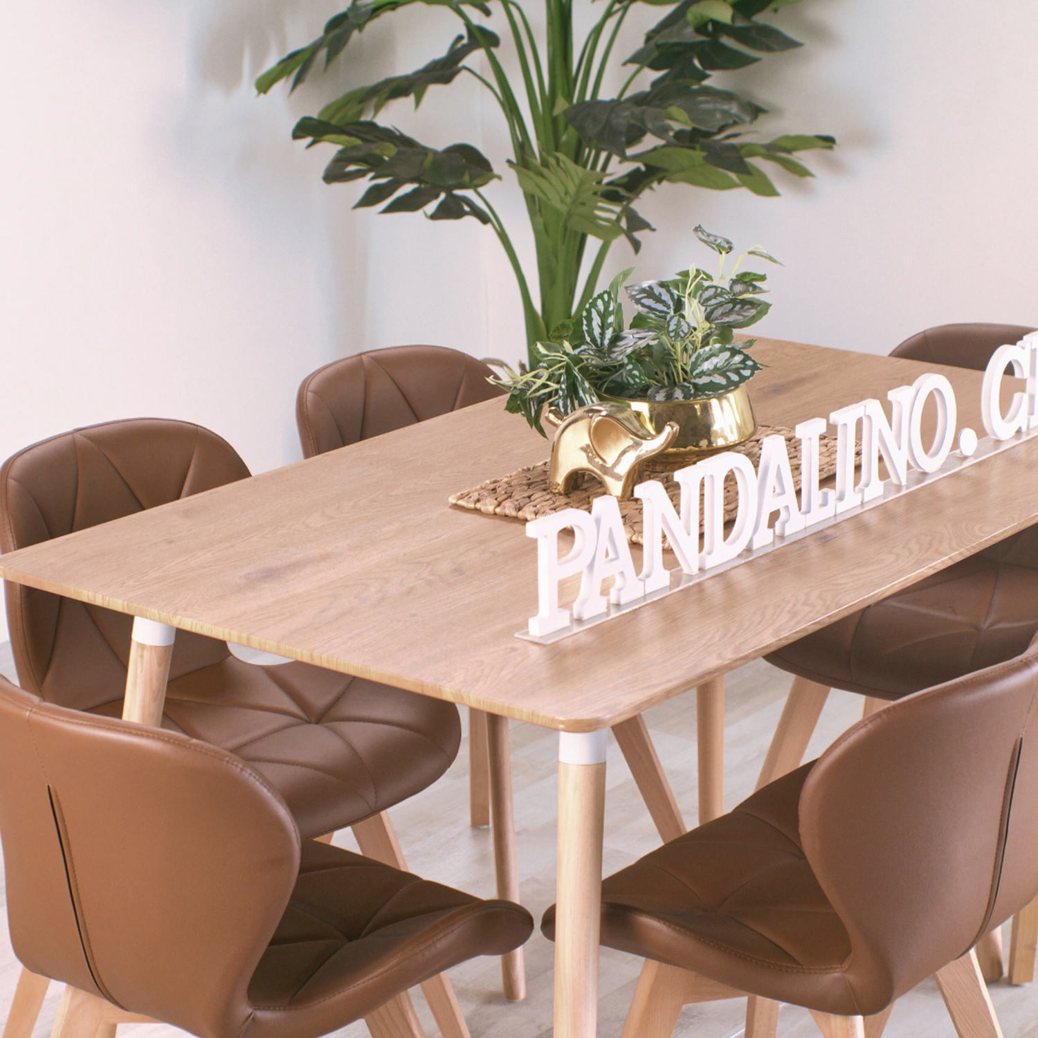 Comedor Mesa Álamo + 6 Sillones Rubik Café | Estilo Nórdico-2